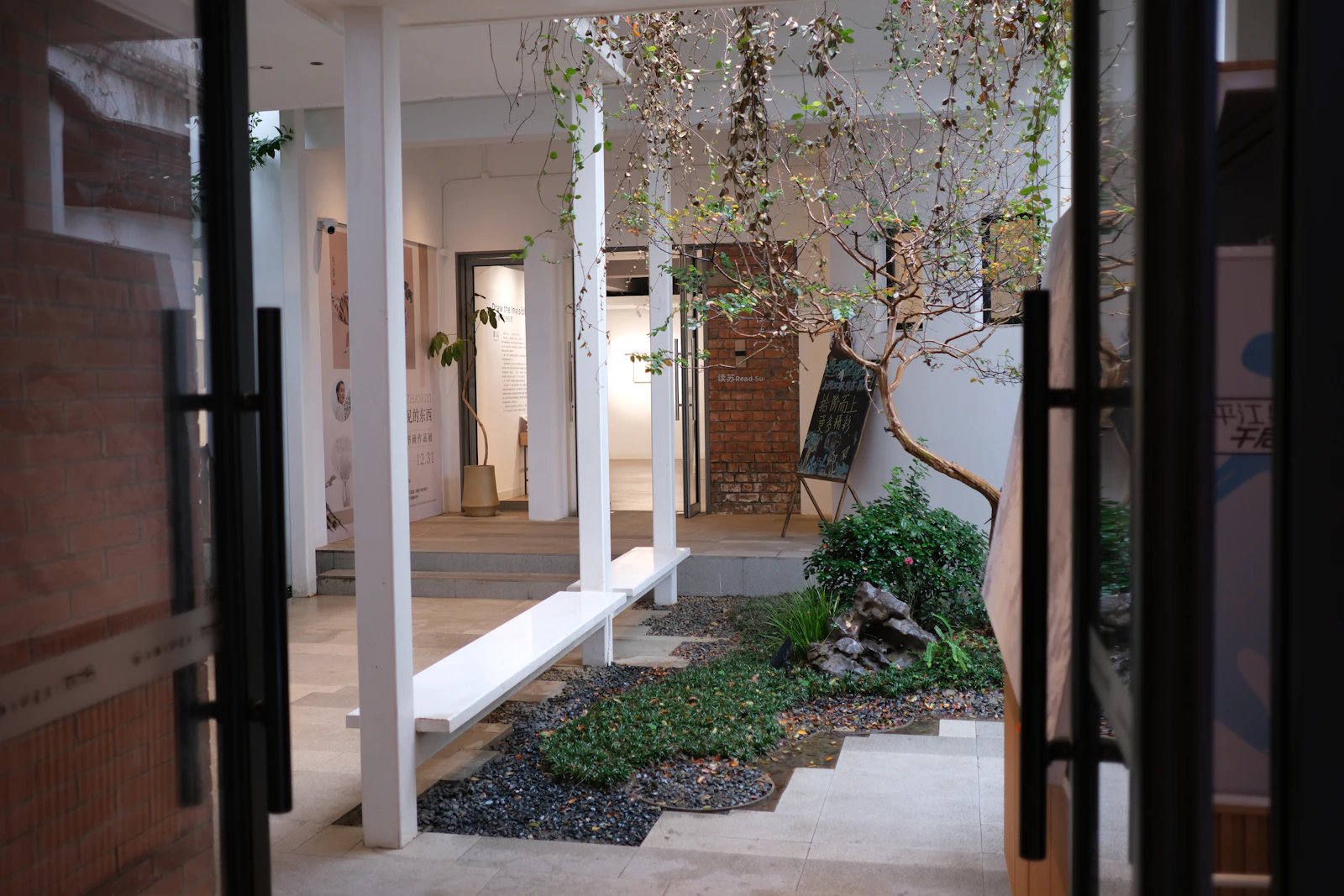 Λεπτομέρεια από βασιλικό και ρίγανη.