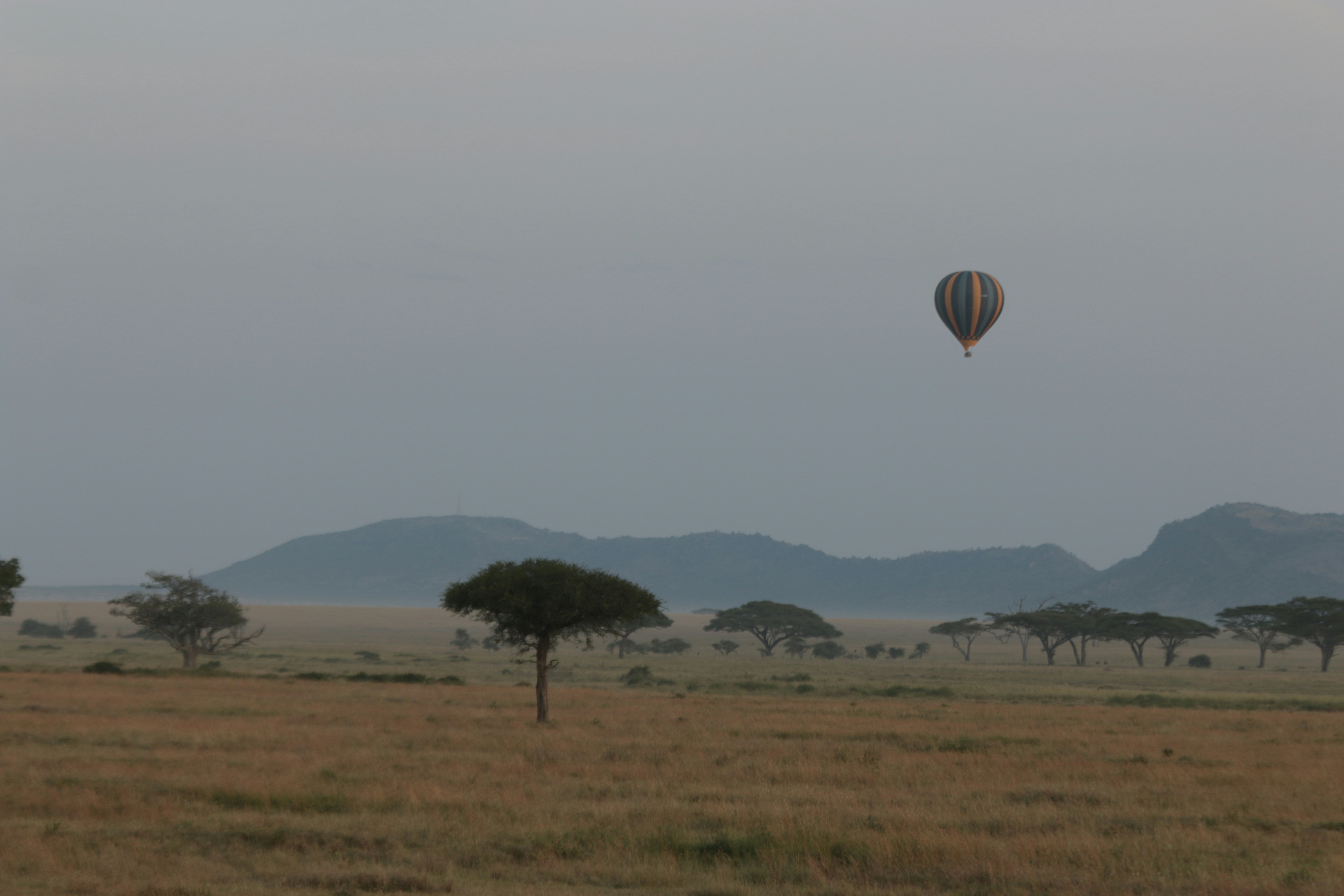 Hot air balloon floats over savanna landscape