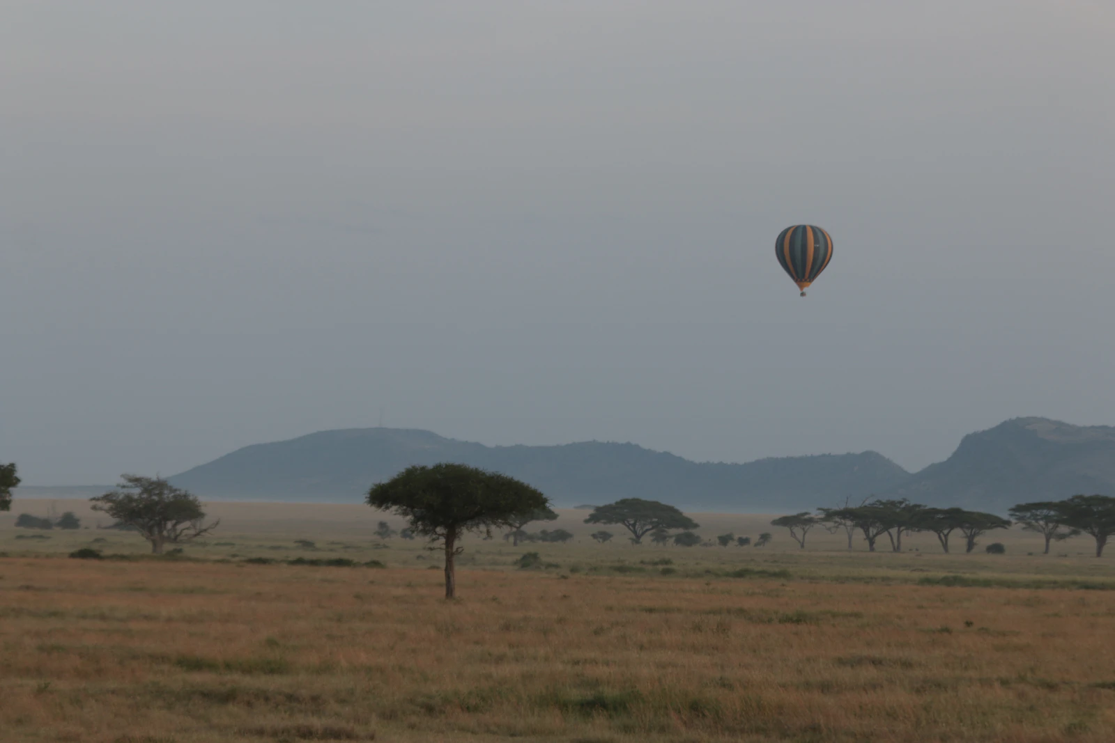 Singita Sasakwa Lodge: An Edwardian Manor Above the Serengeti