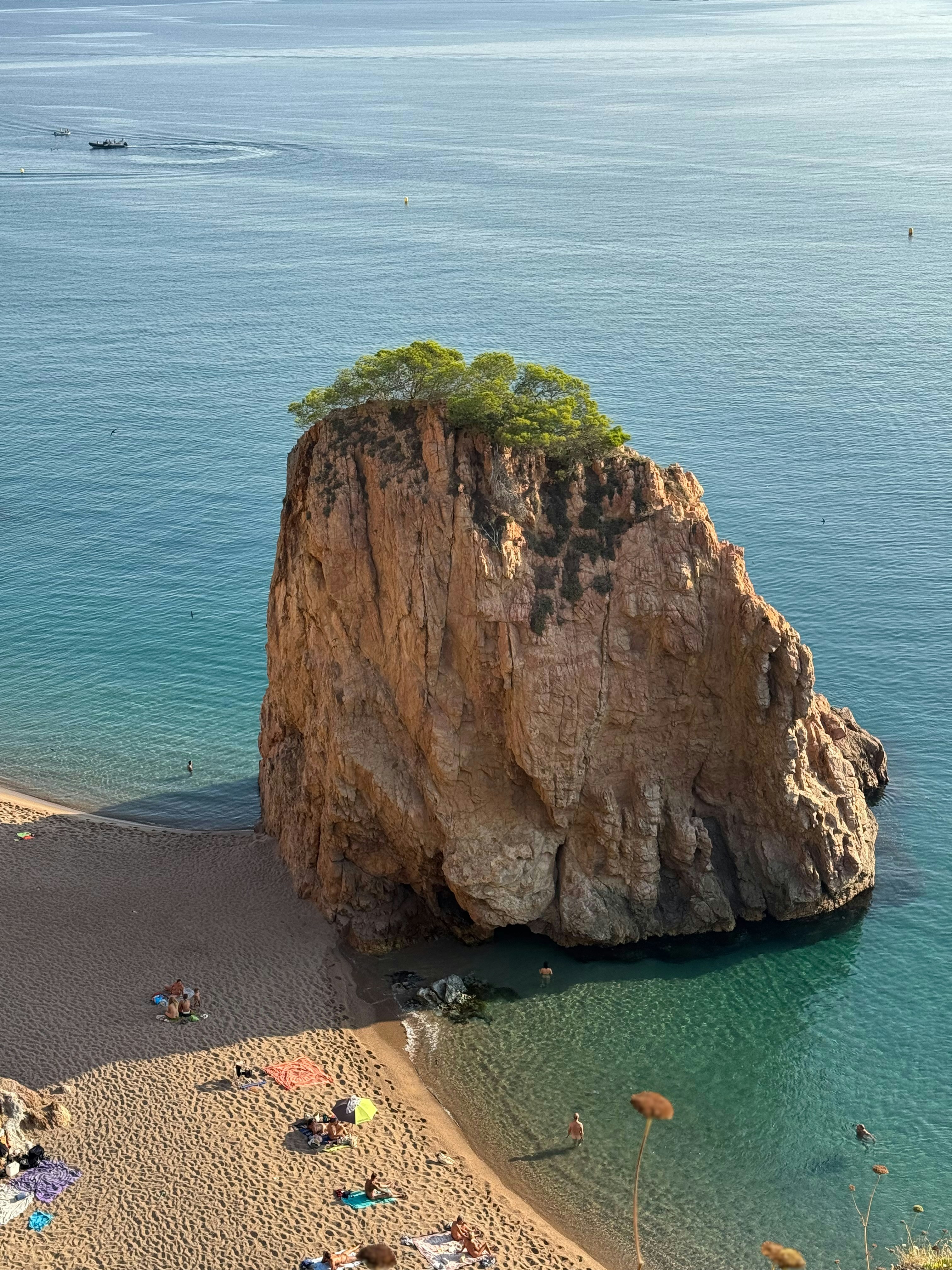 모래사장에 나무가 있는 큰 암석.