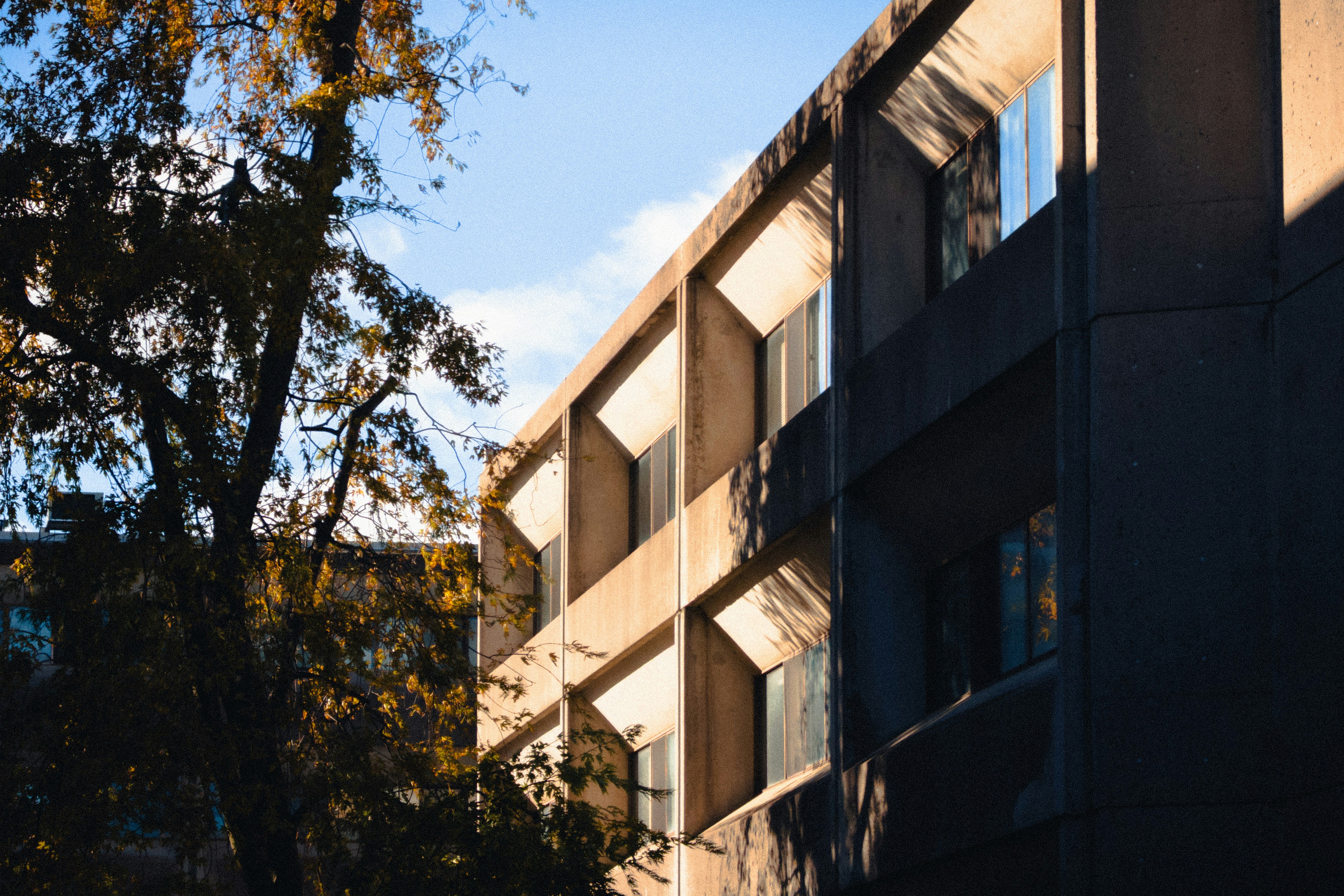 Photo by hashcode_error