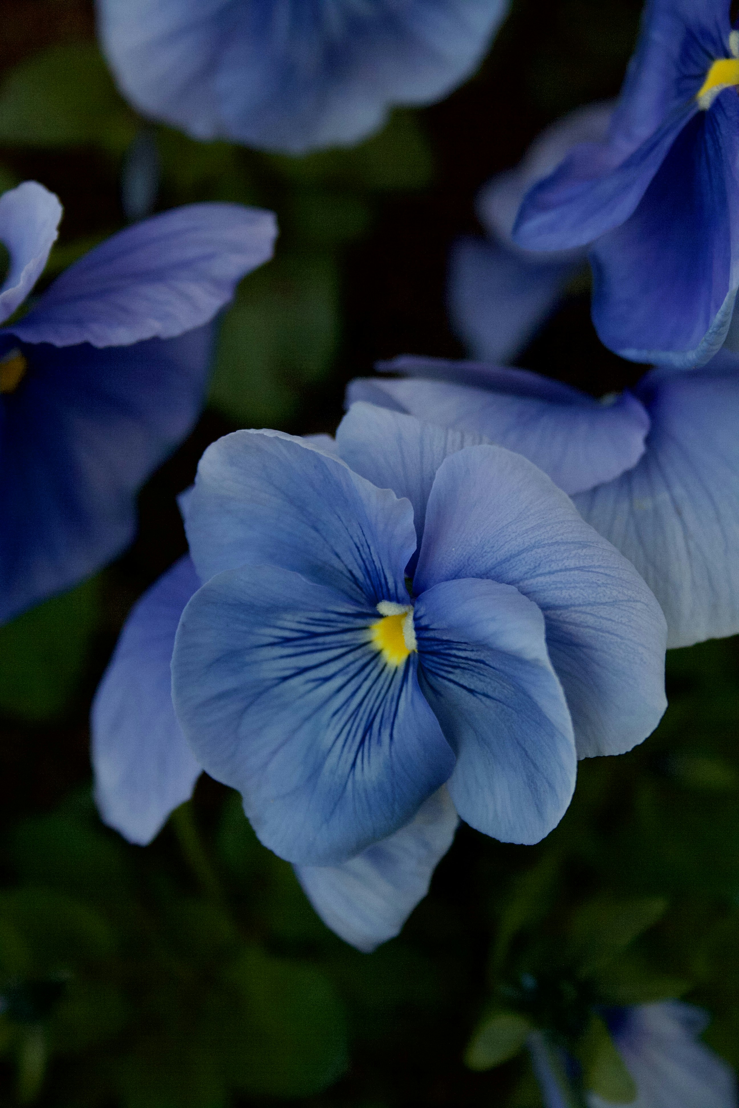 Photo by officiallyamandaaaa