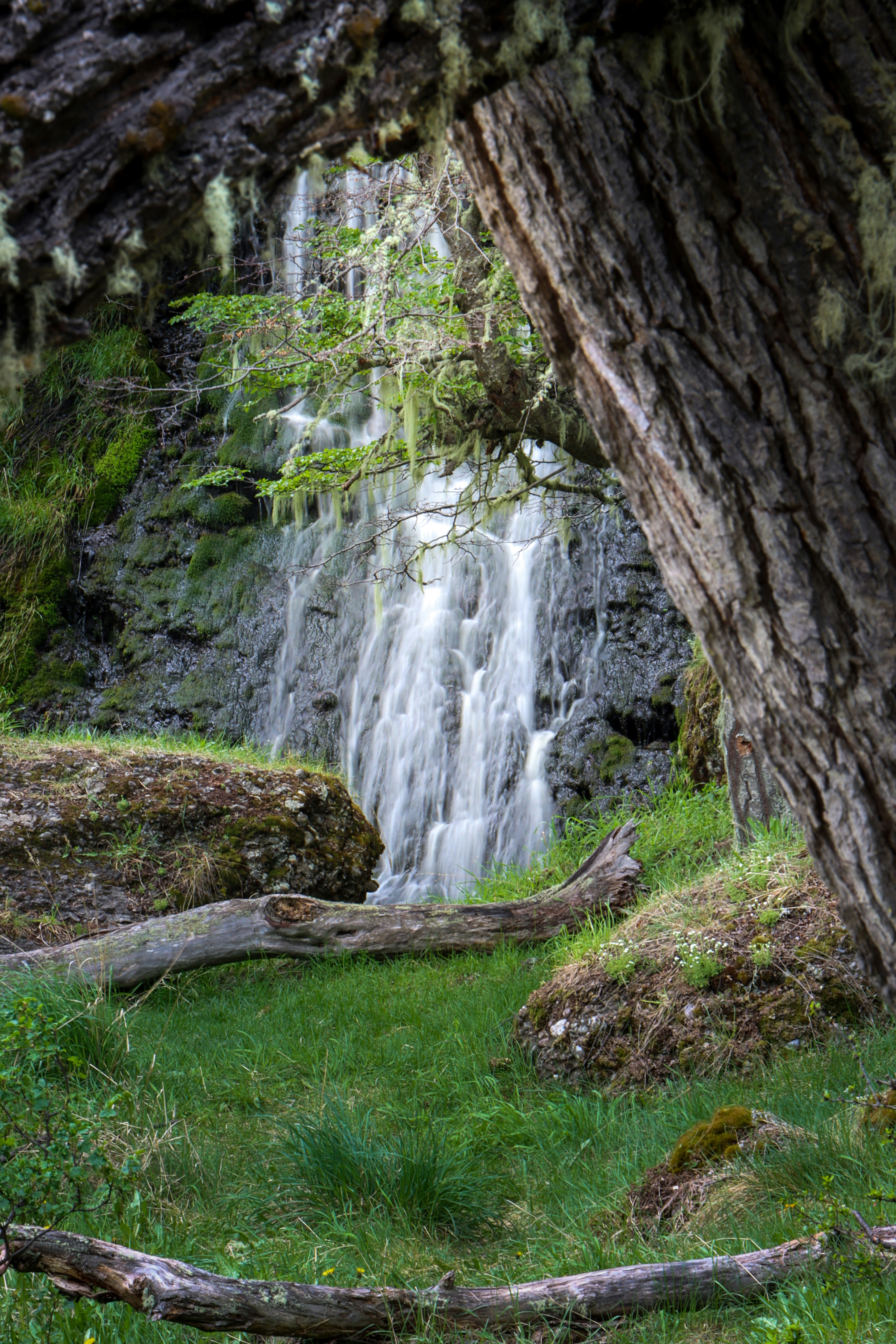 Photo by javier_flemate