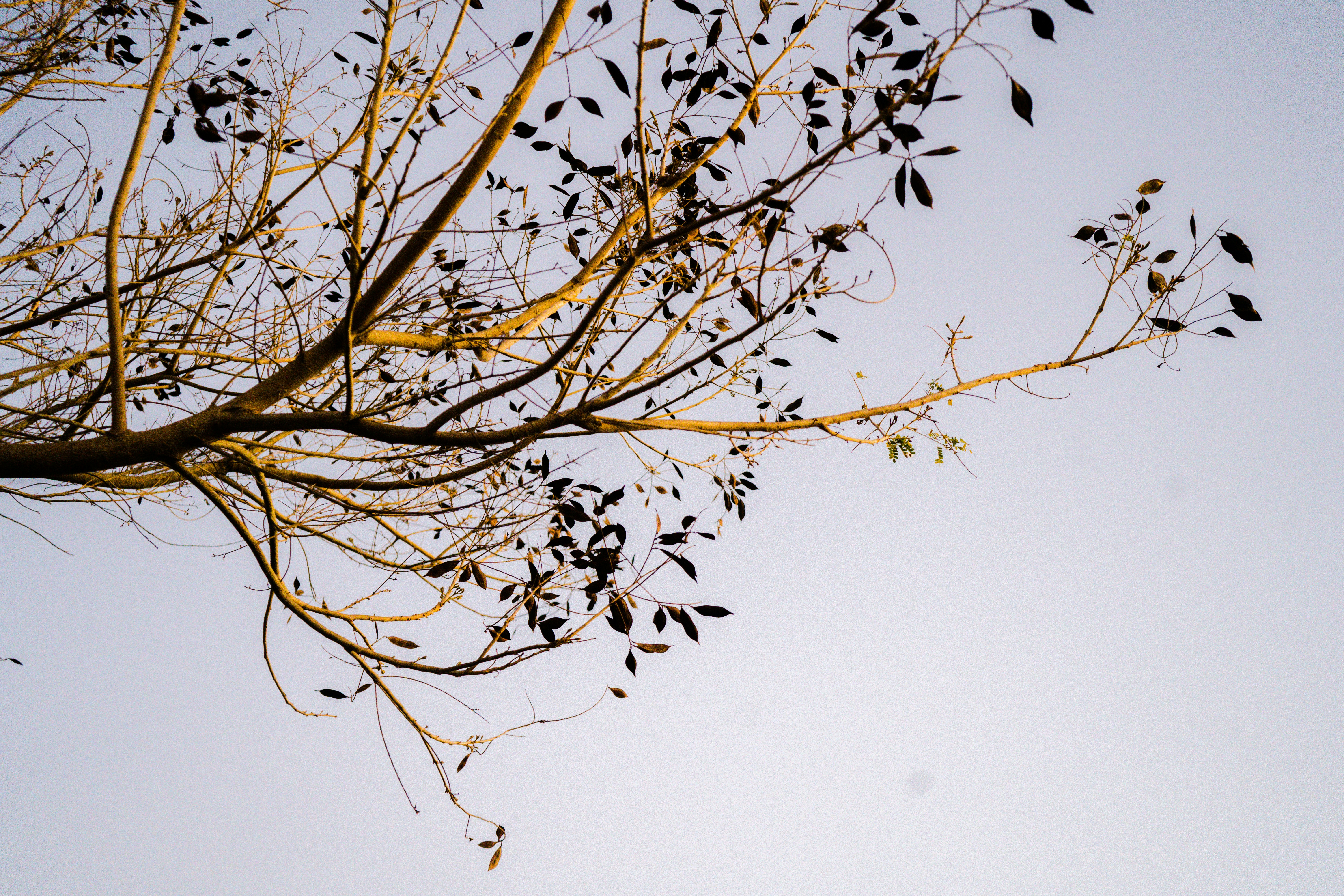 Photo by marcusdavid