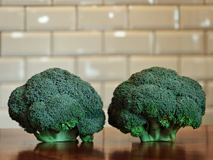 Two heads of fresh broccoli on a wooden table.