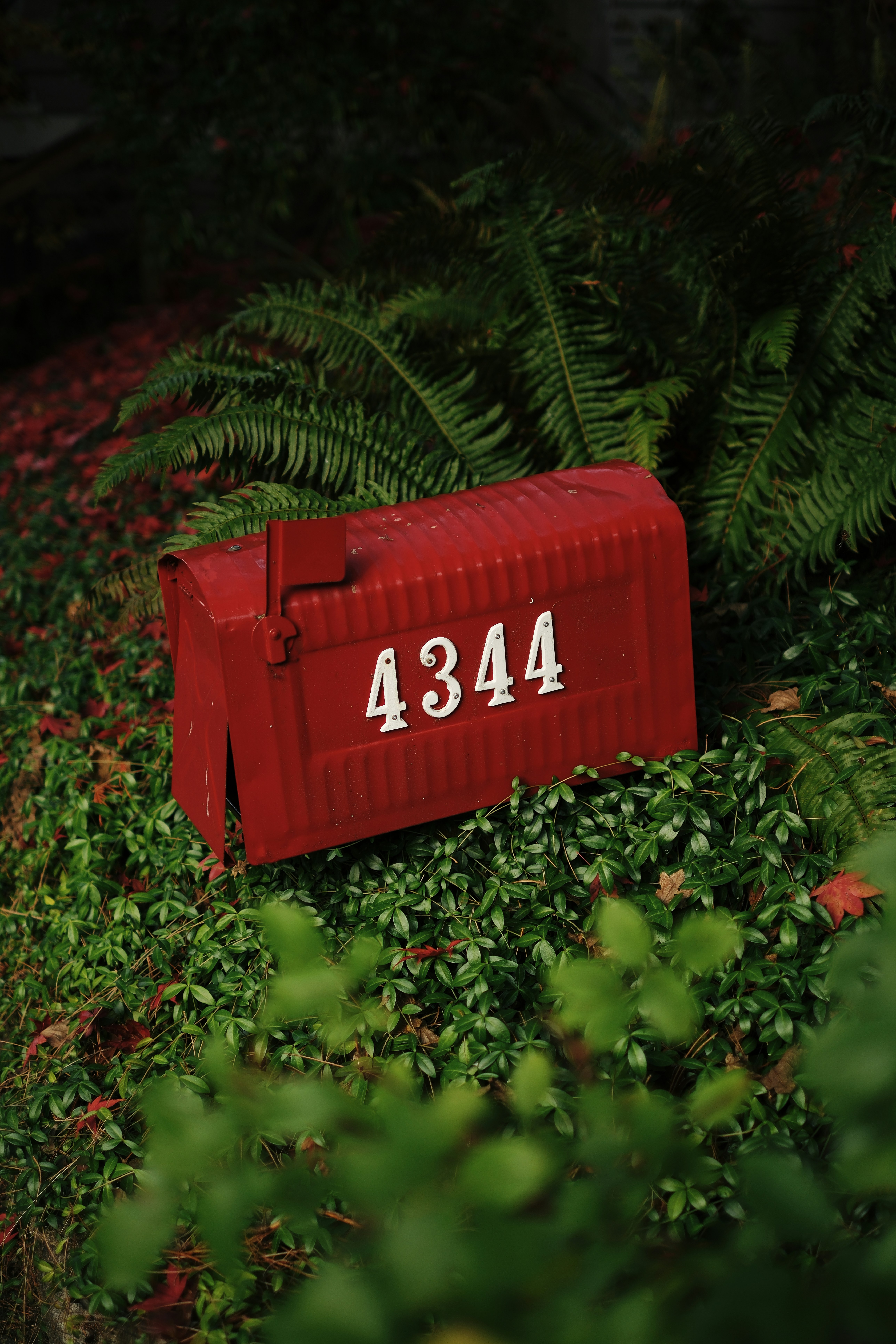 Buzón rojo con número de casa 4344 entre vegetación
