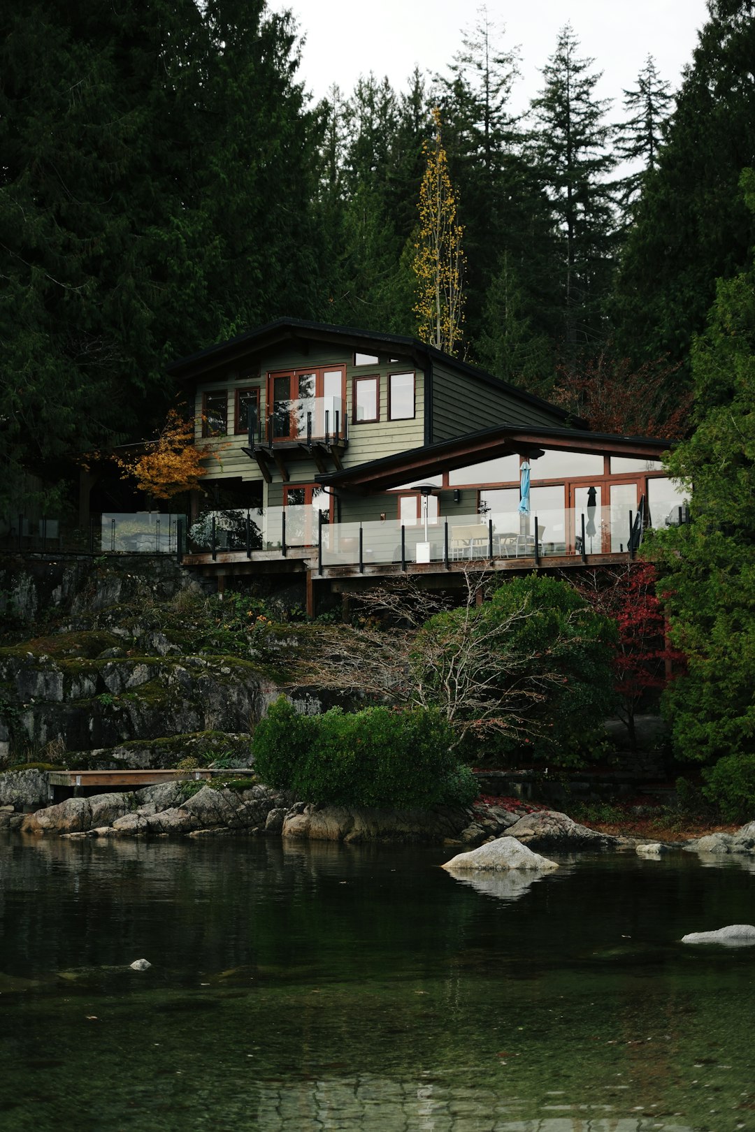 Modern house in lush forest