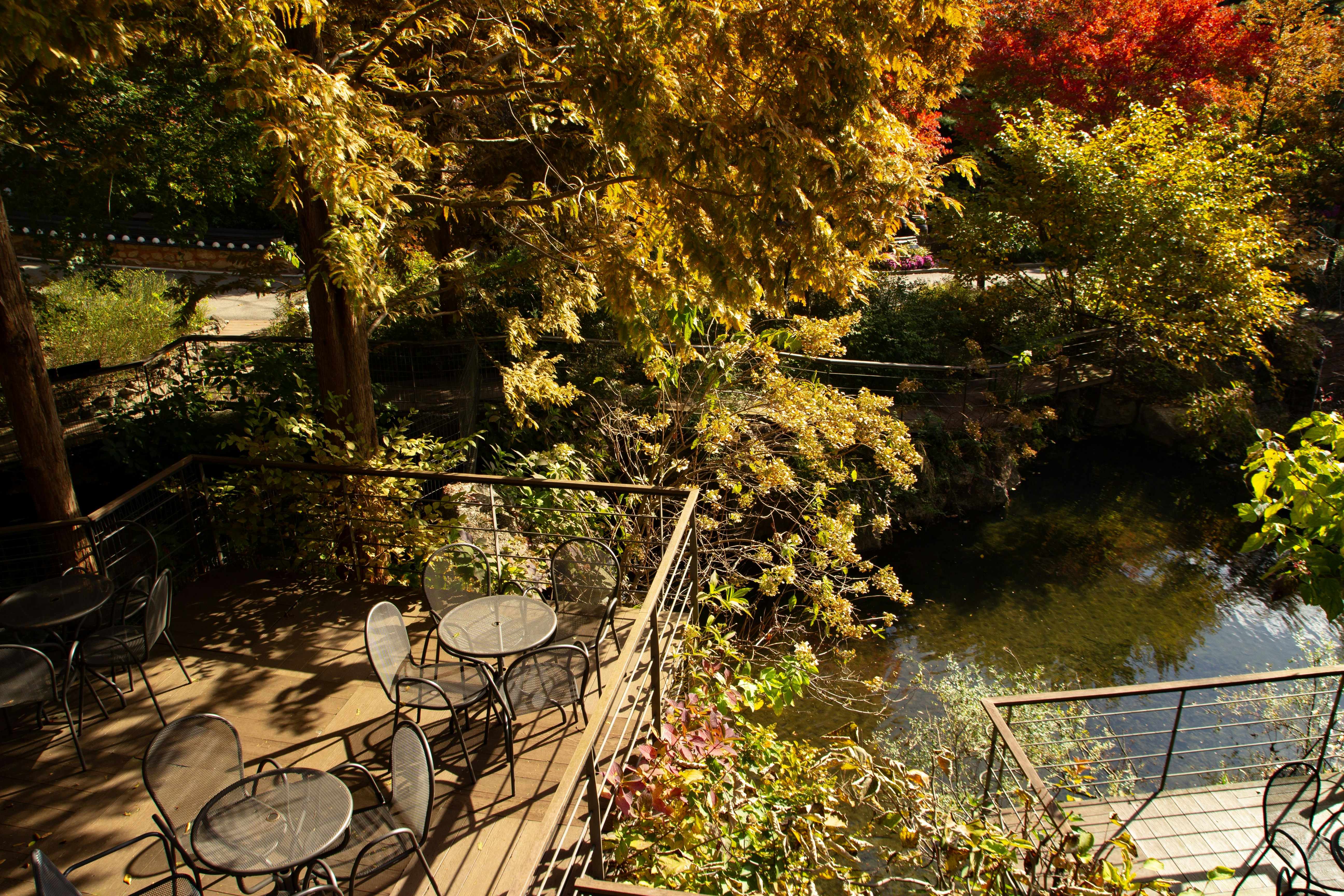 Autumn trees overlook a tranquil river and outdoor seating.