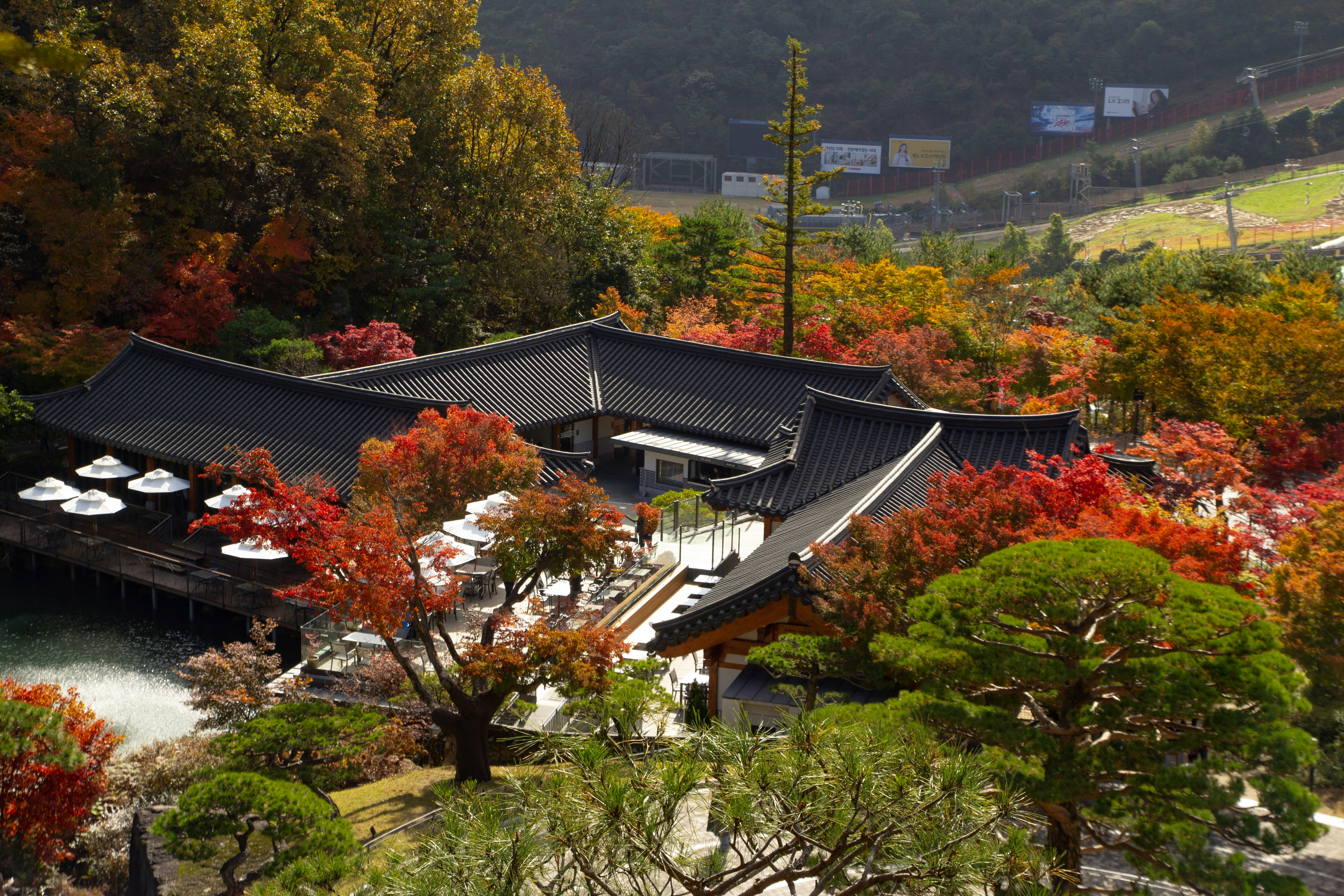 Traditional korean building surrounded by autumn foliage