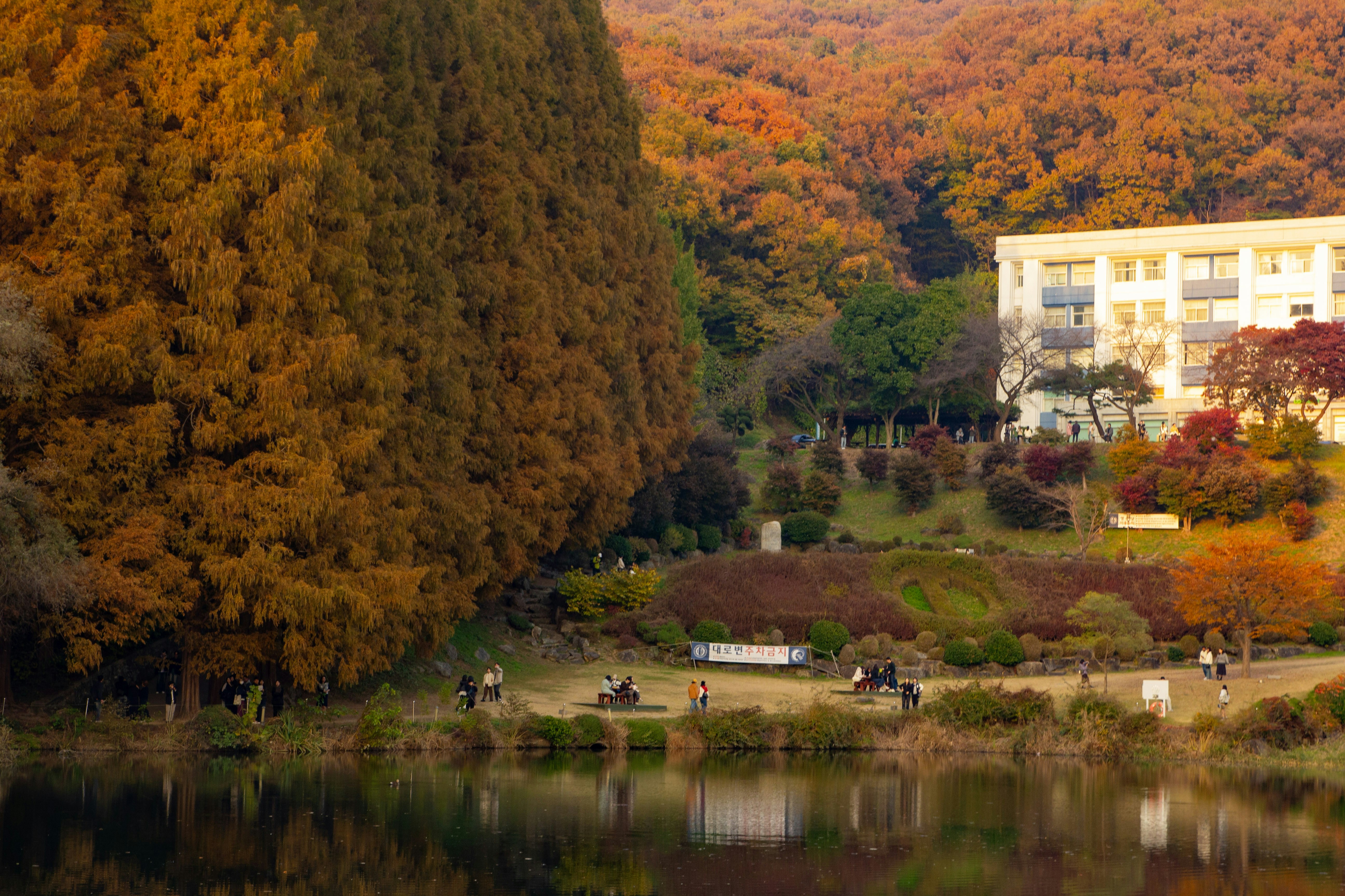 Autumn trees surround a building by a reflective lake.