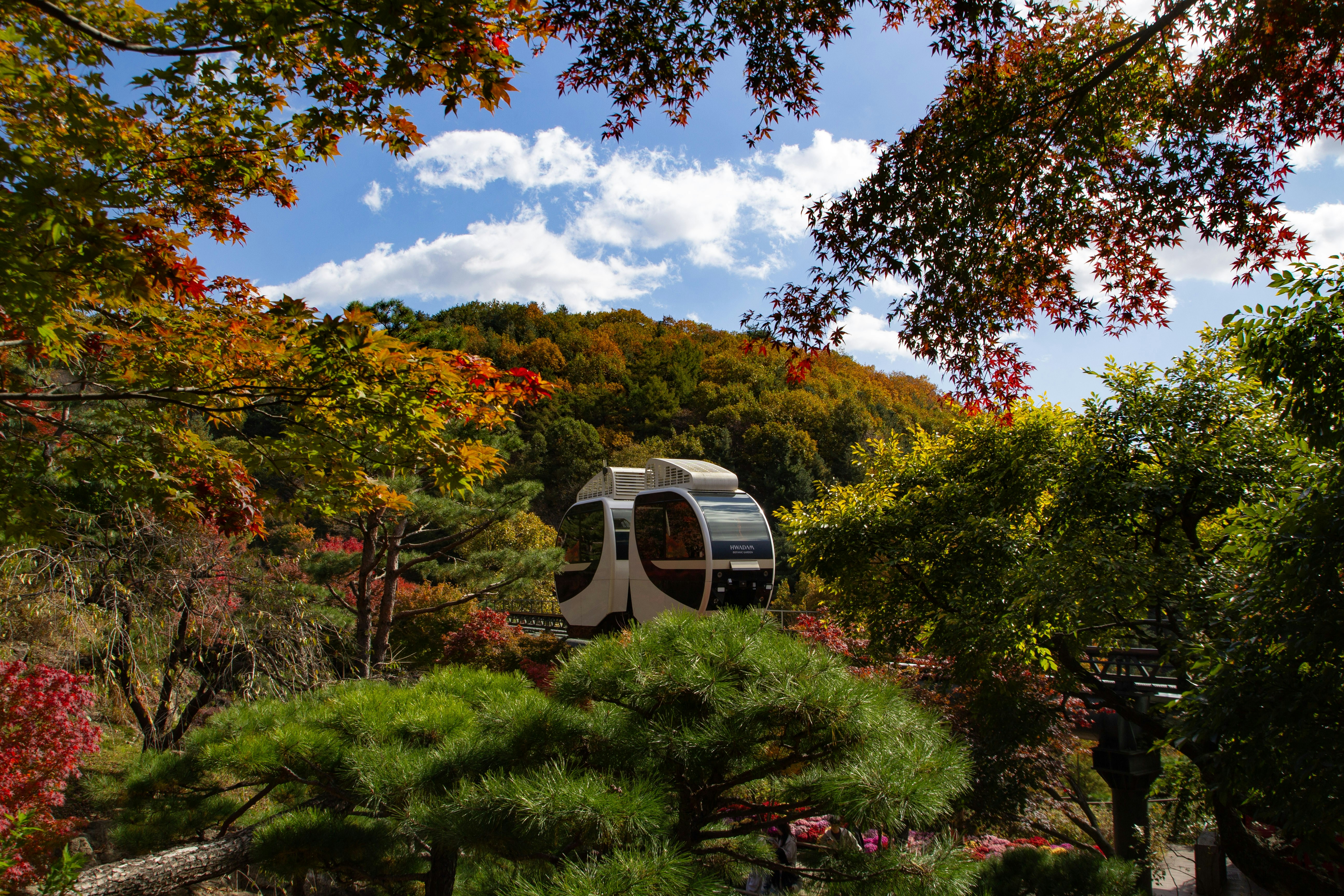 Cable car moving through autumn foliage on a hill.