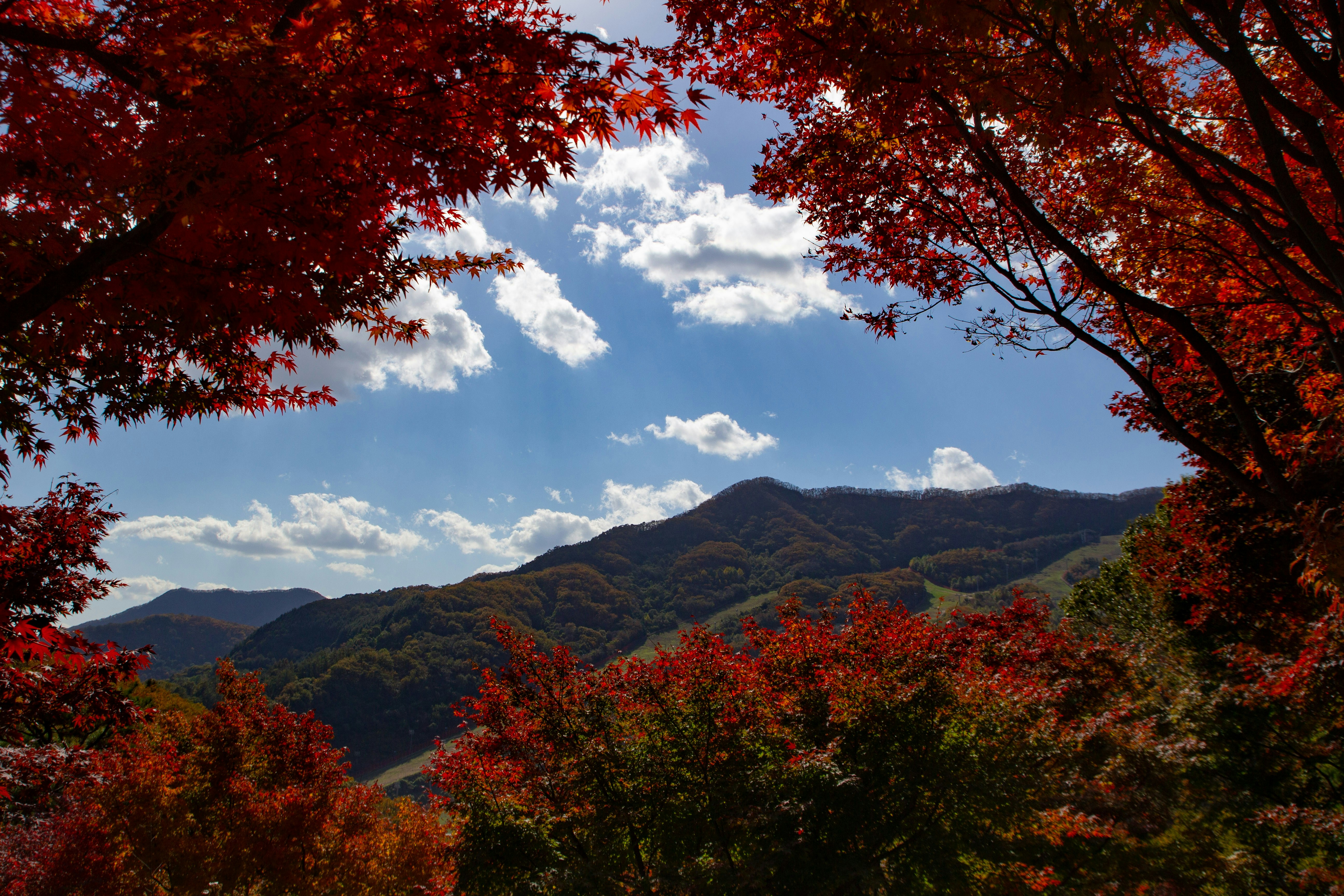 Nagano secret fall festival and mountain path