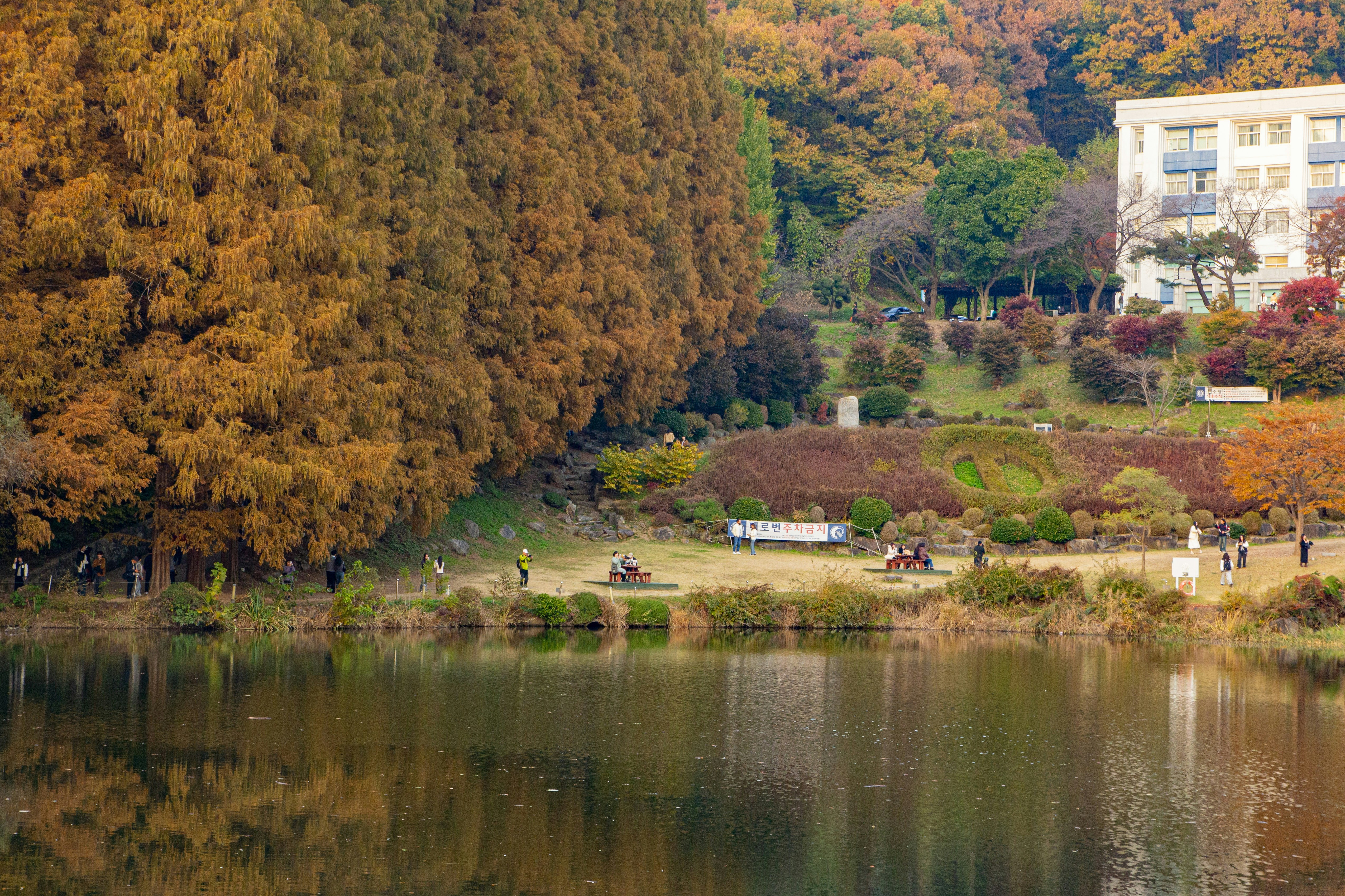 Autumn trees reflect on a calm lake near buildings.