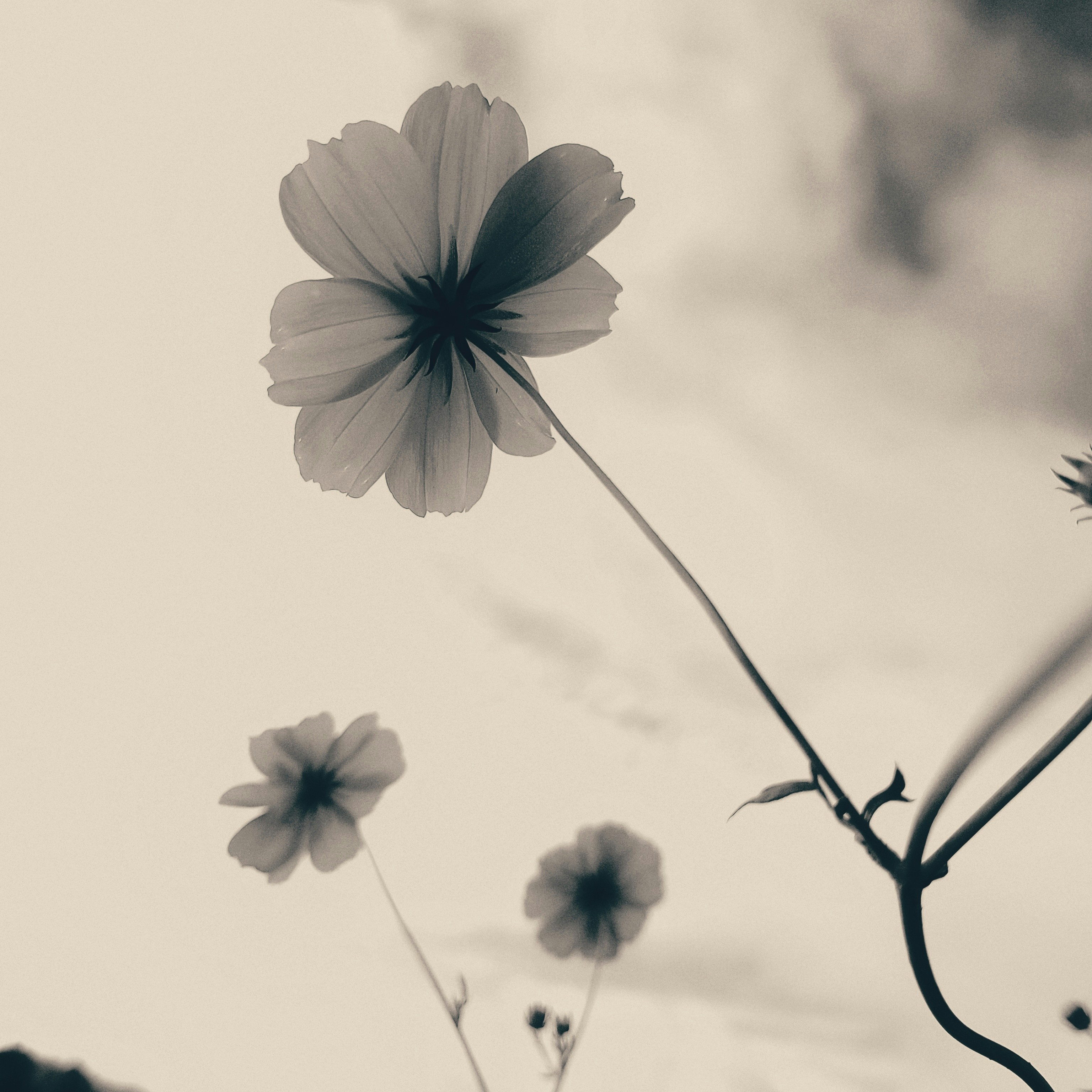 Photo by yashodhan_mohite