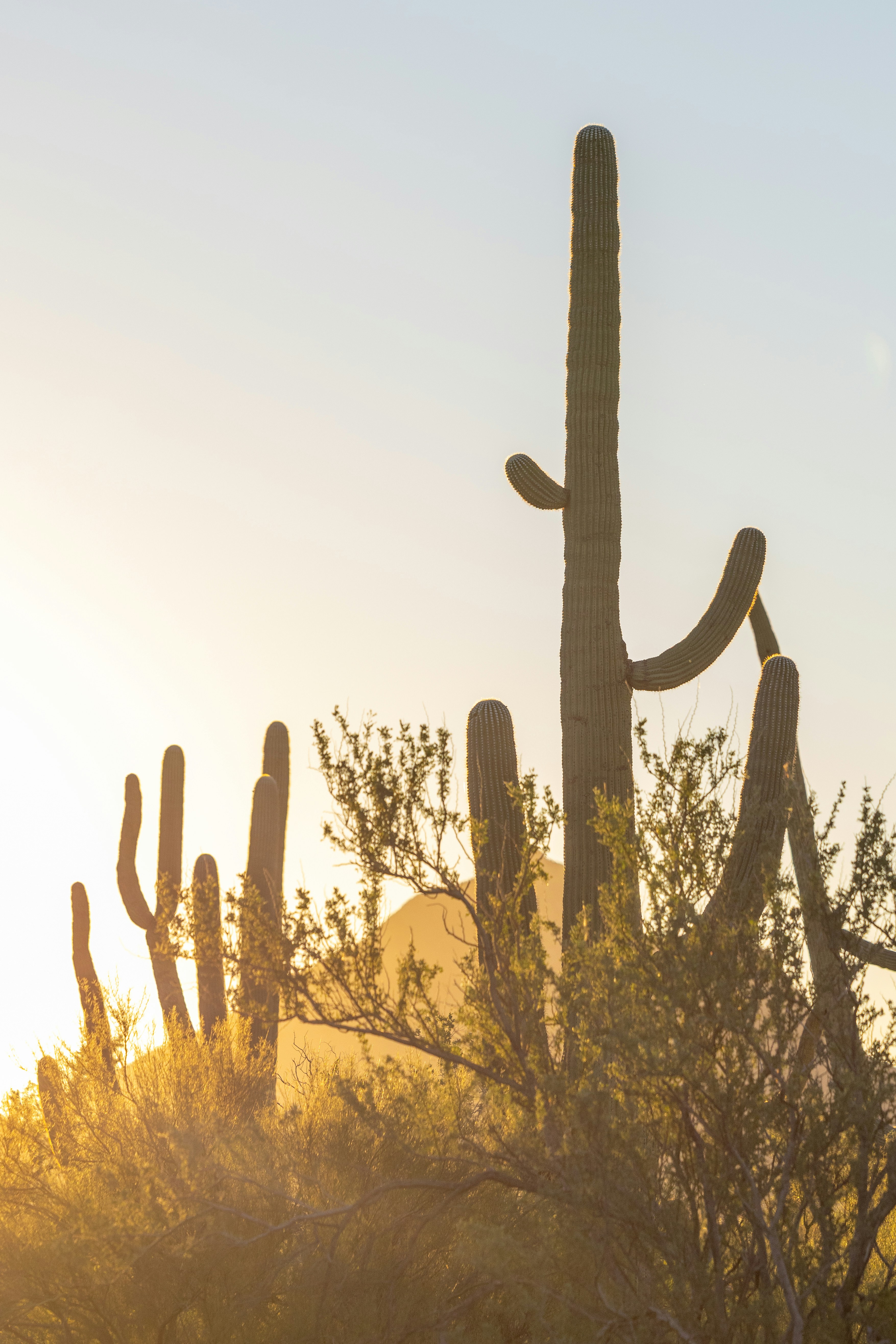 Photo by casunshine0508