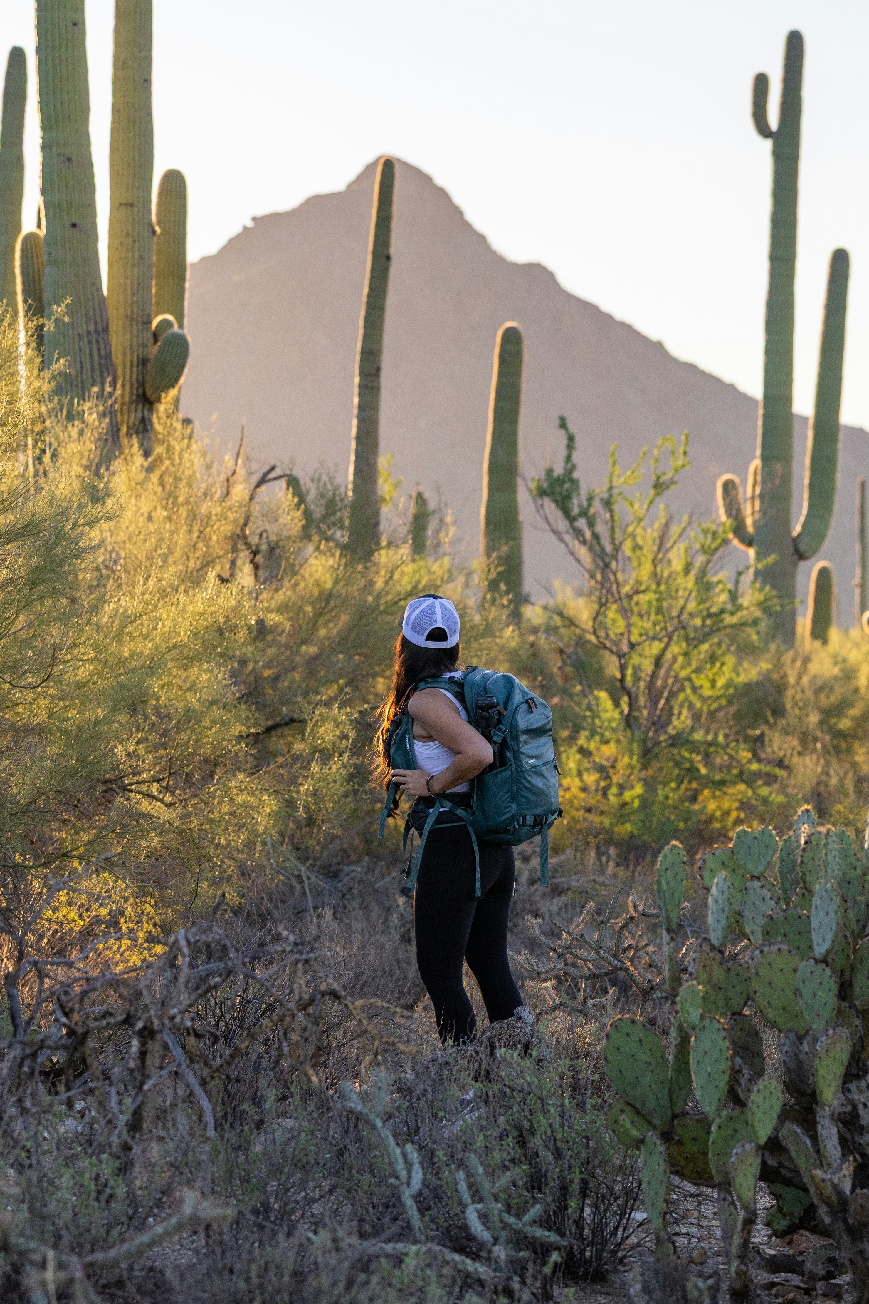 Woman hiking through a desert landscape with cacti.