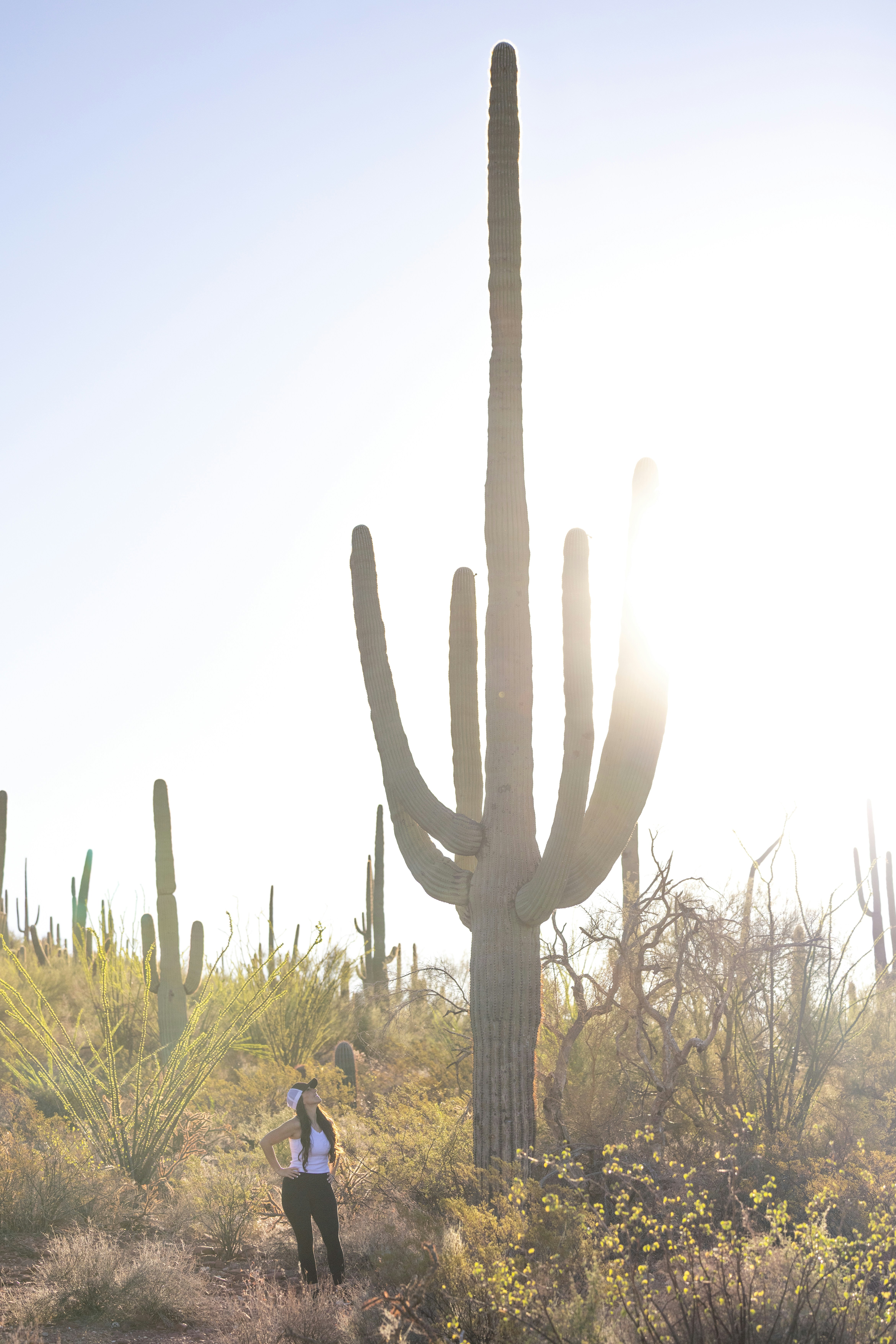 Photo by casunshine0508