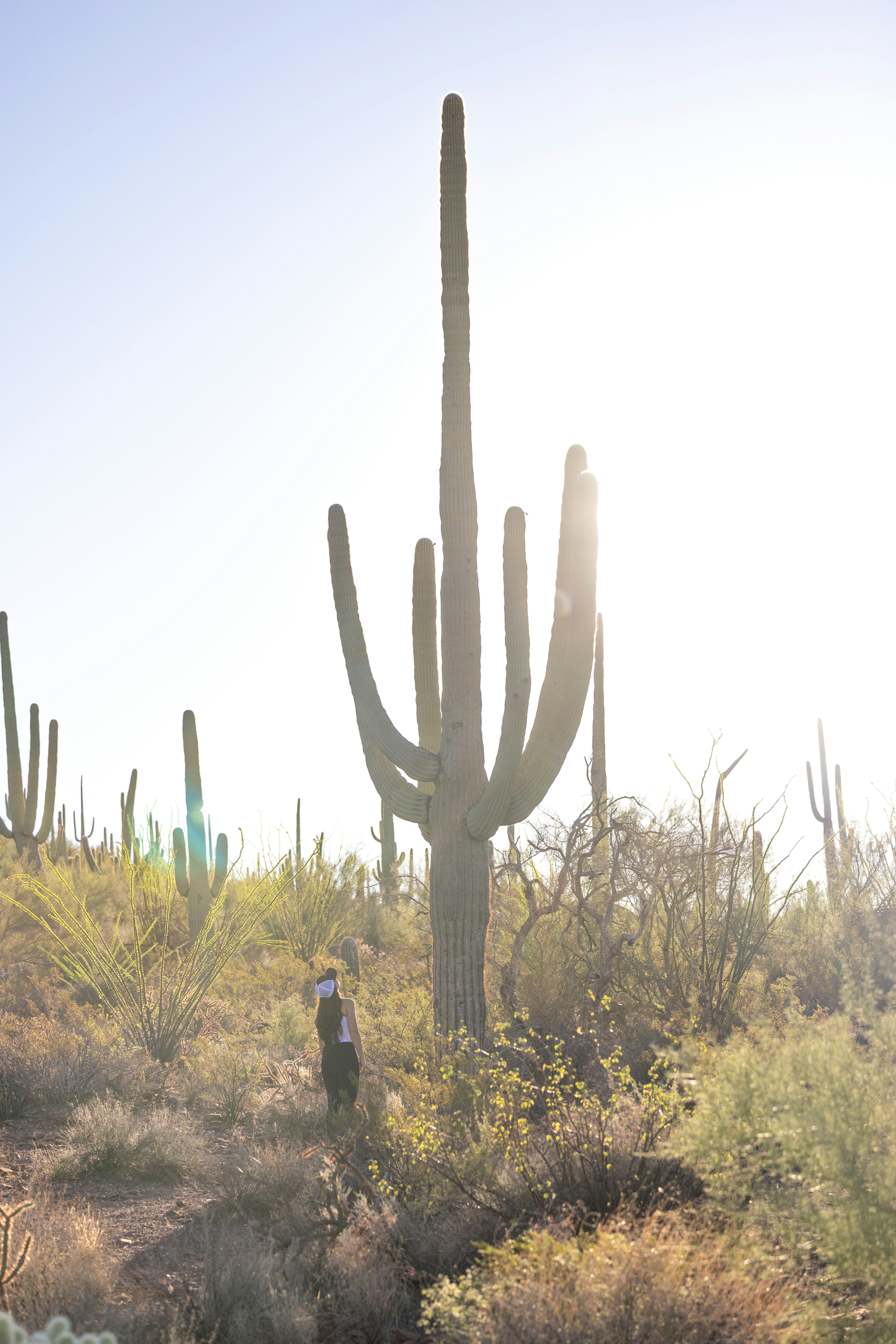 Photo by casunshine0508