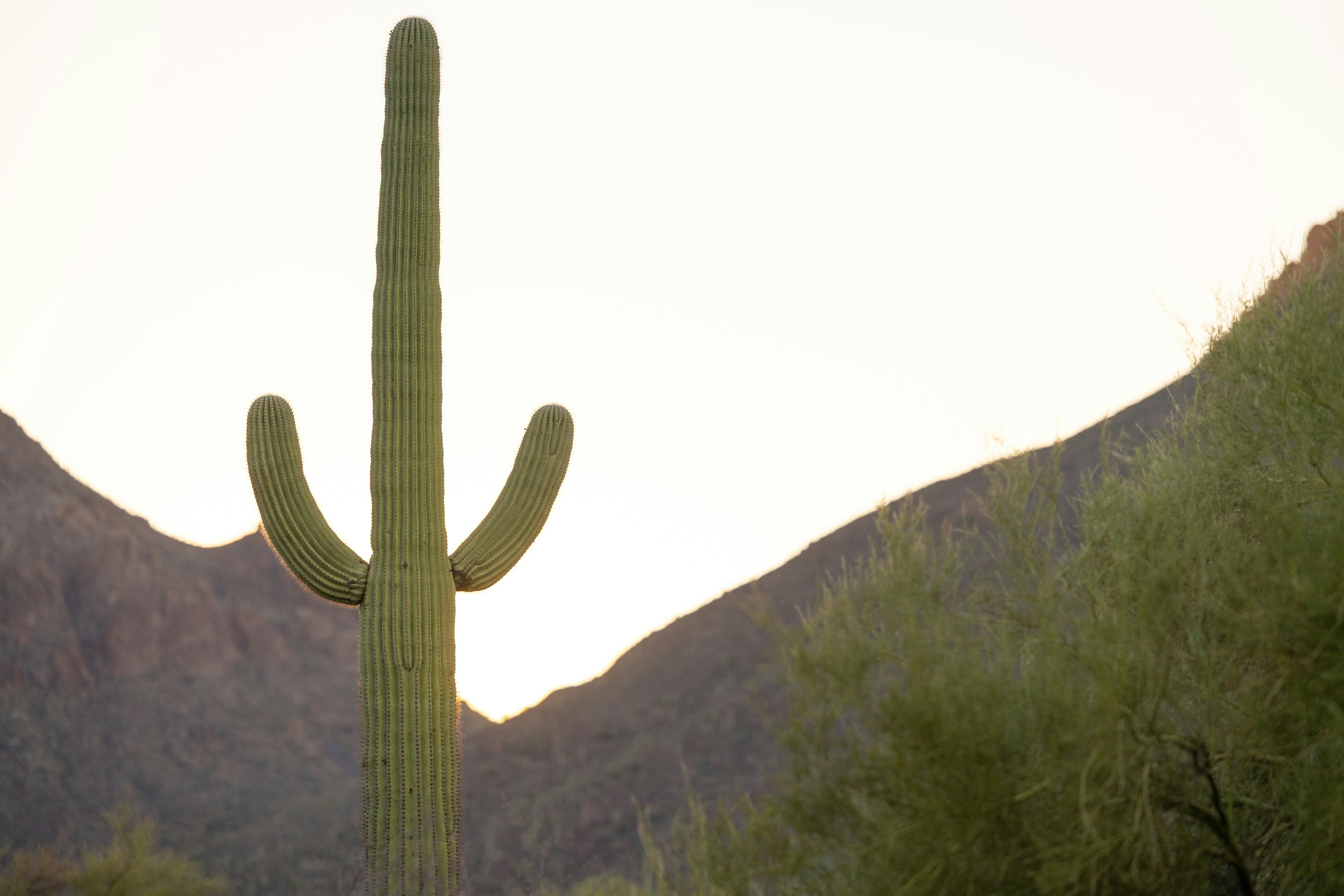 Photo by casunshine0508