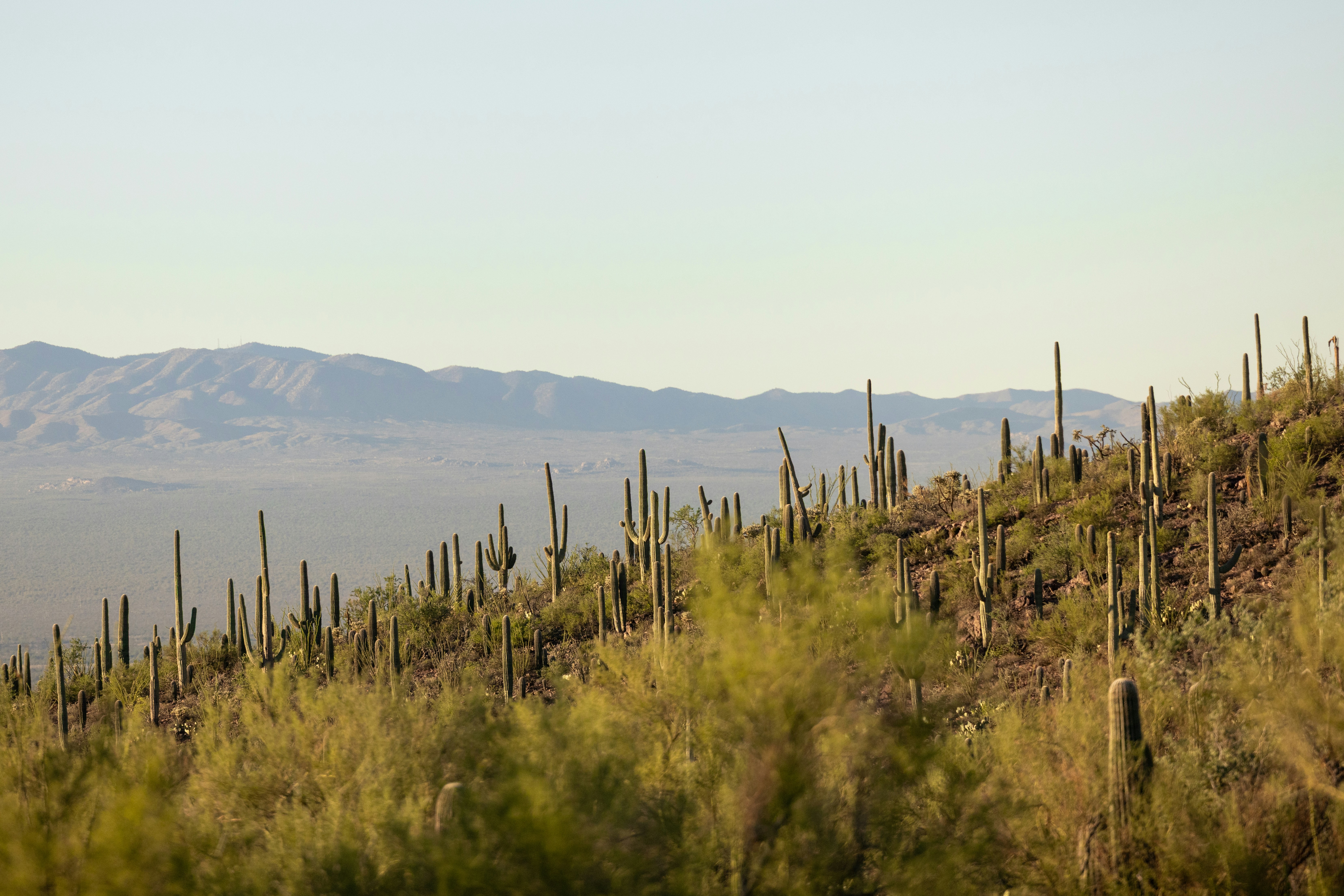 Photo by casunshine0508