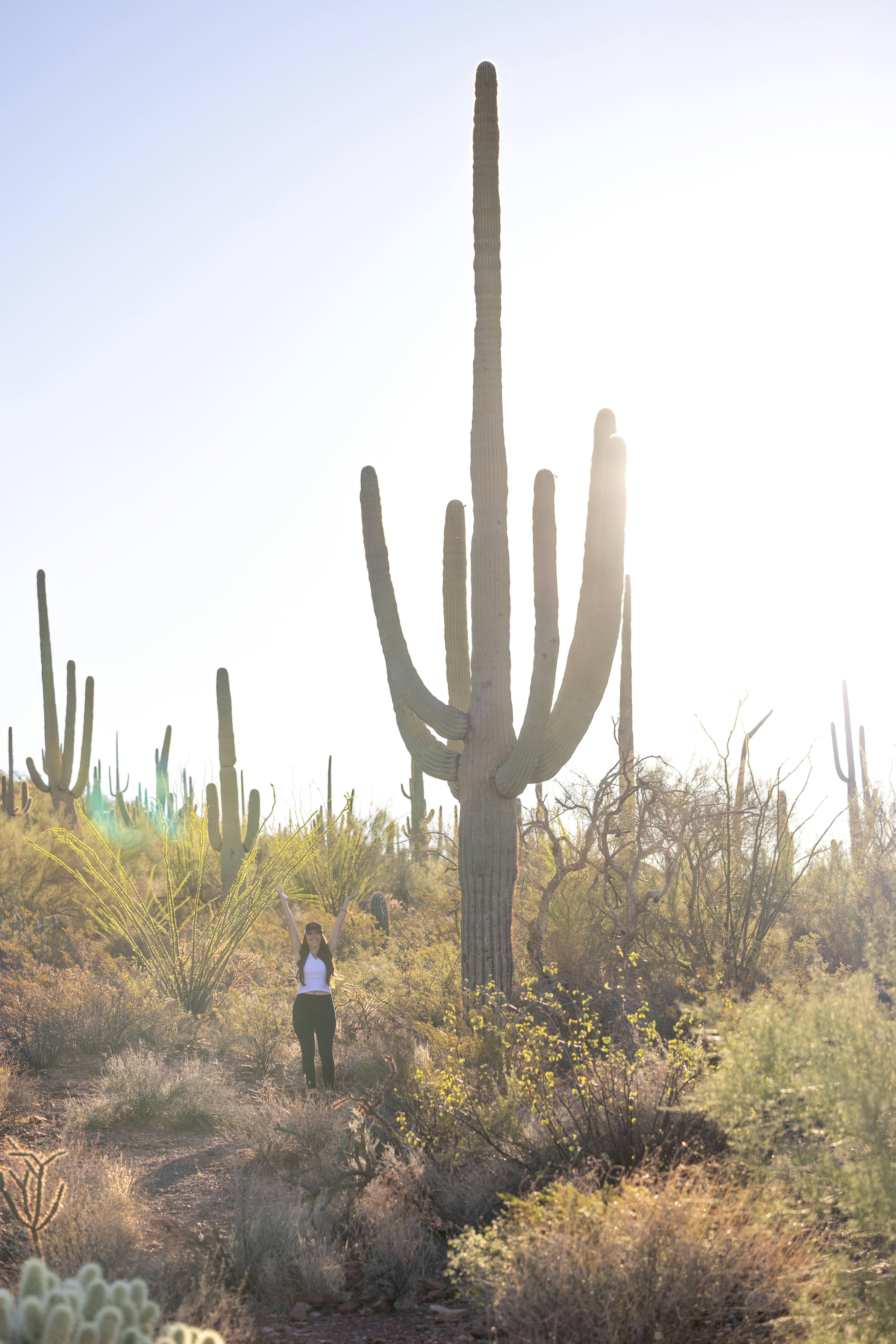 Photo by casunshine0508