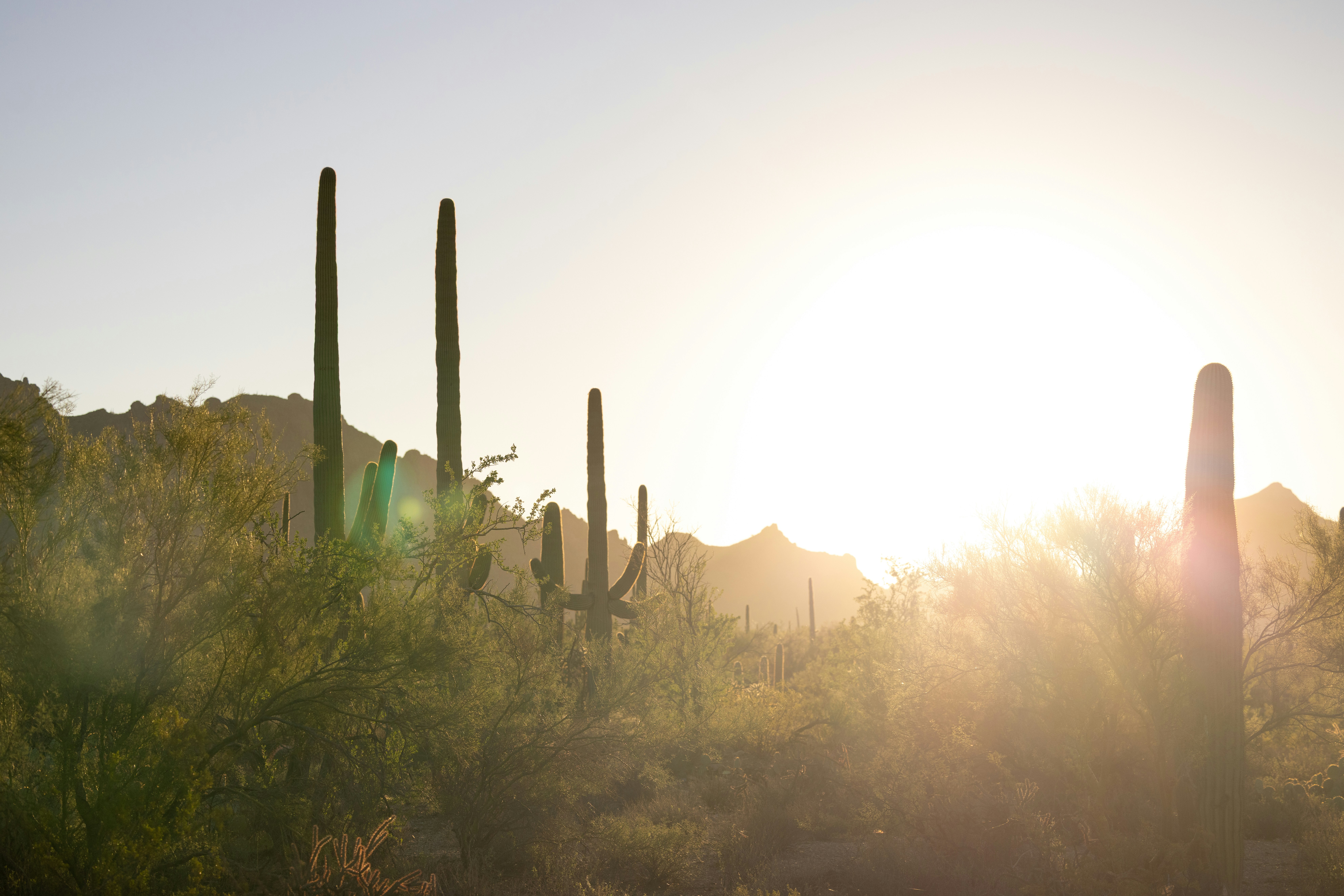 Photo by casunshine0508