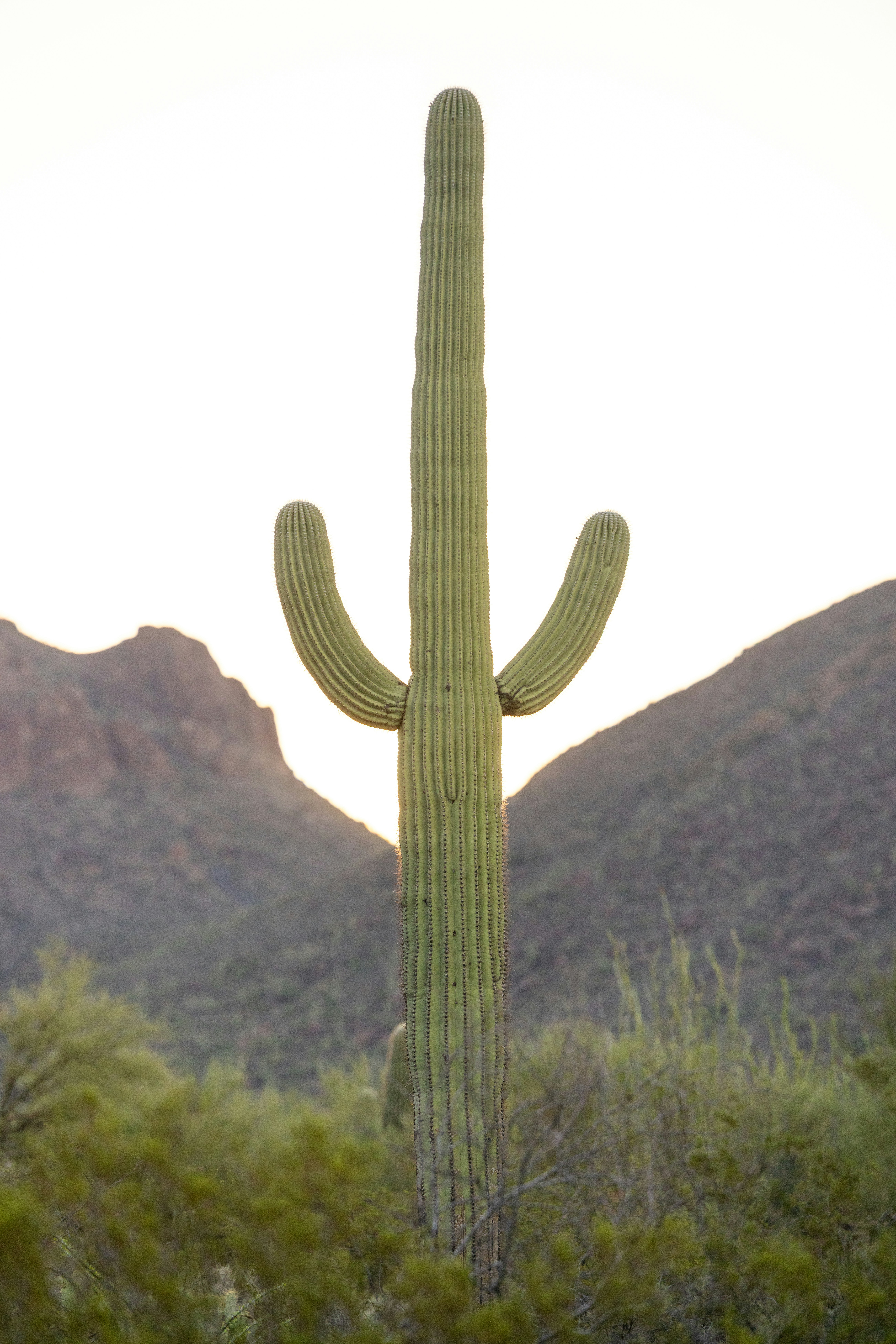 Photo by casunshine0508