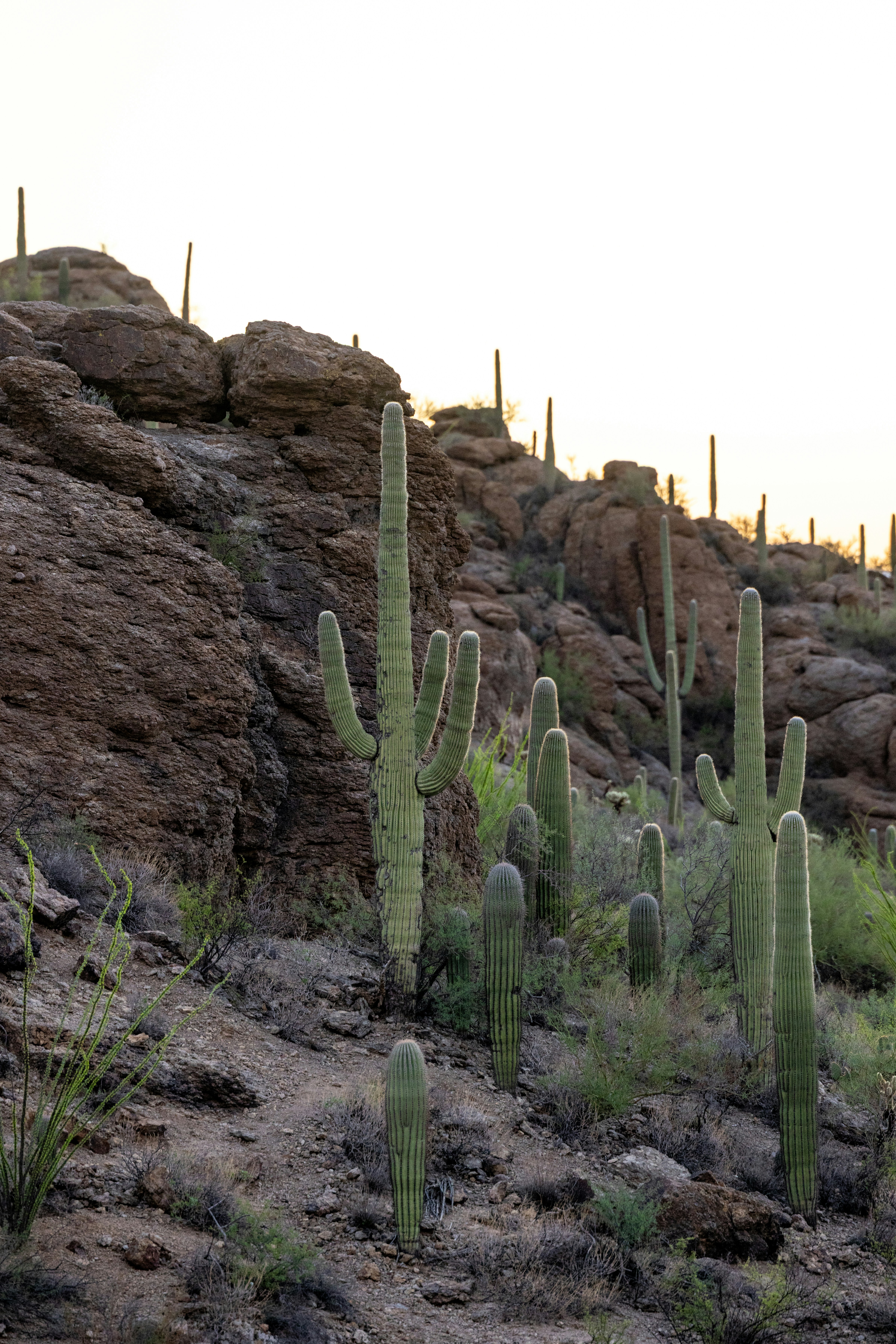 Photo by casunshine0508