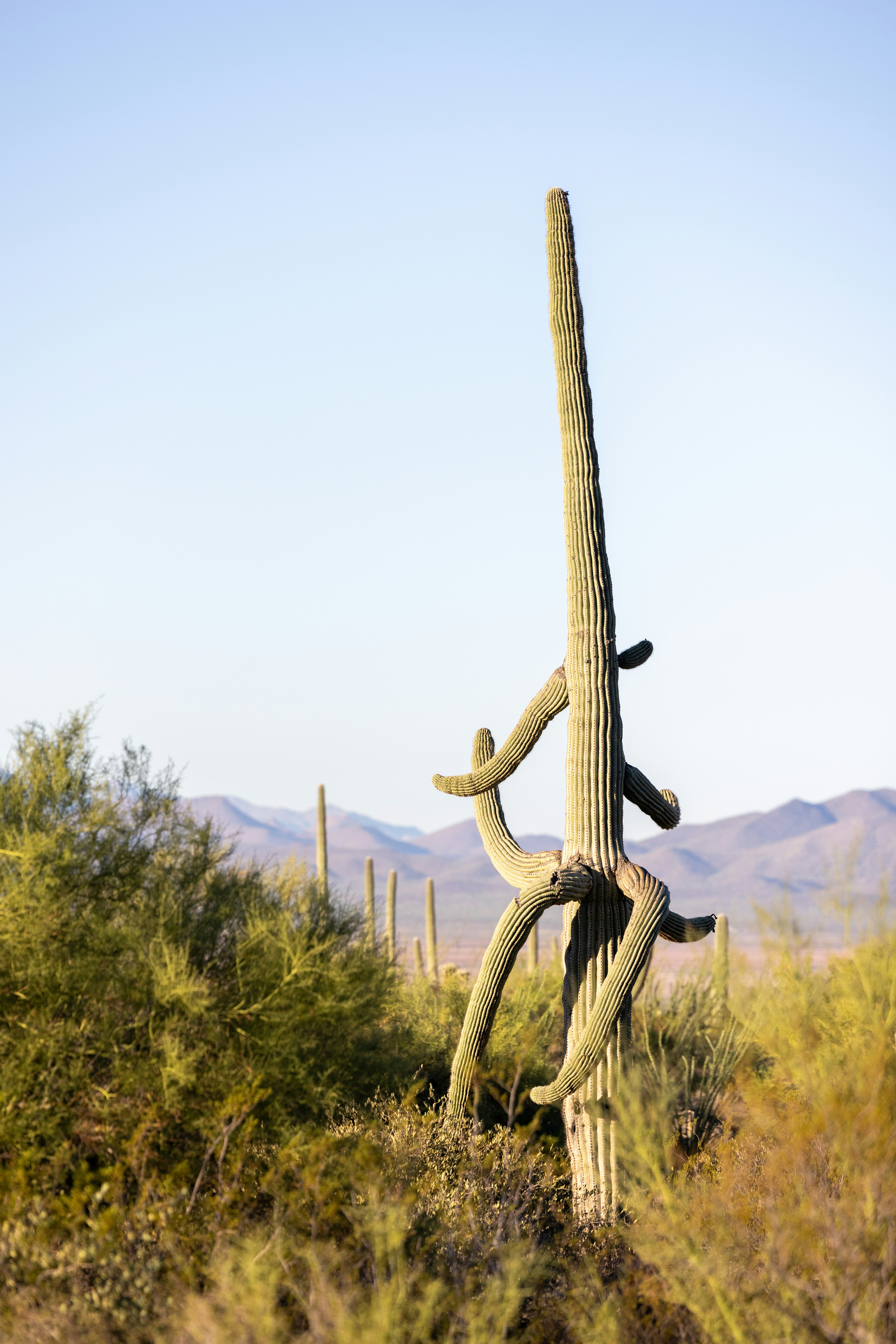 Photo by casunshine0508