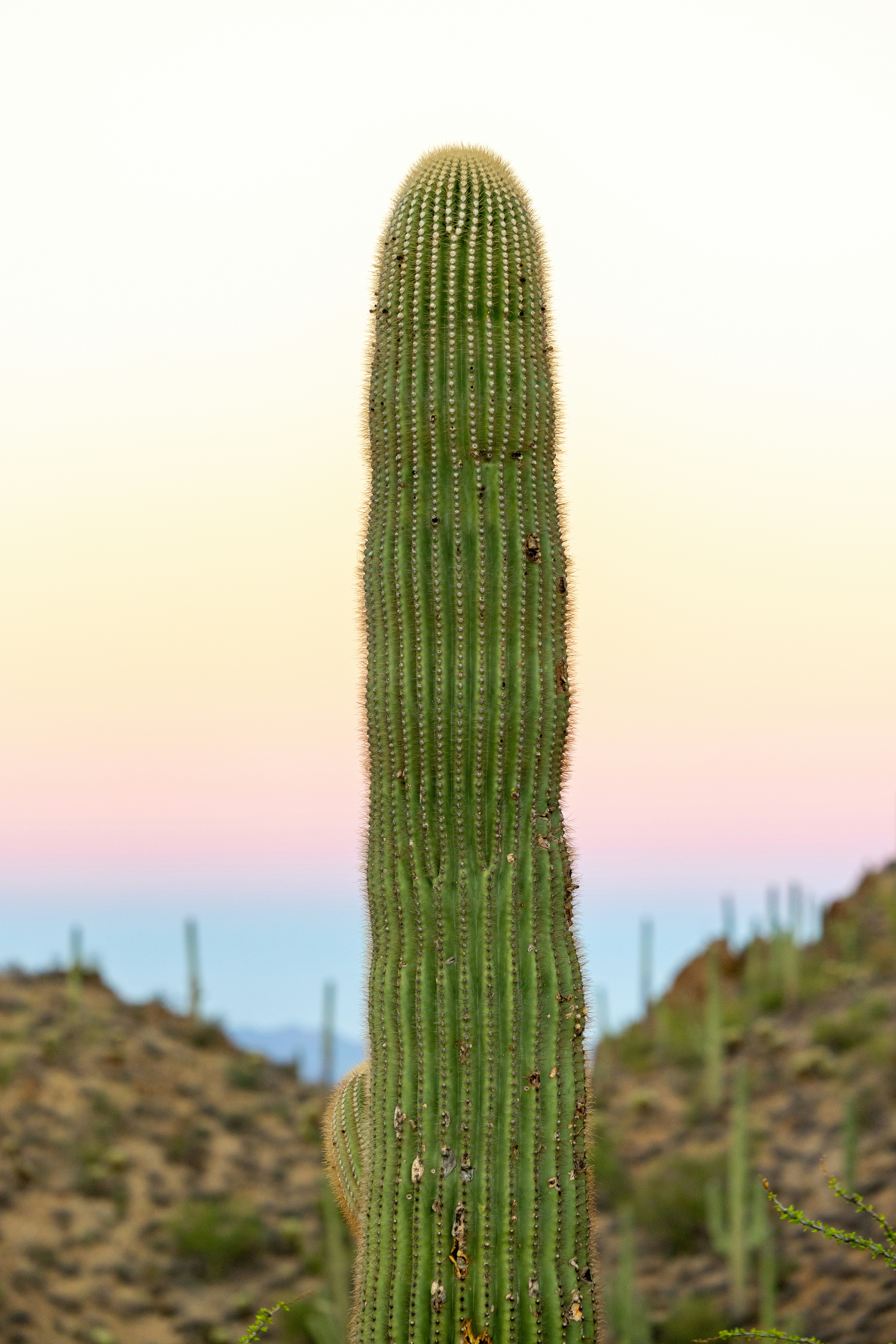 Photo by casunshine0508