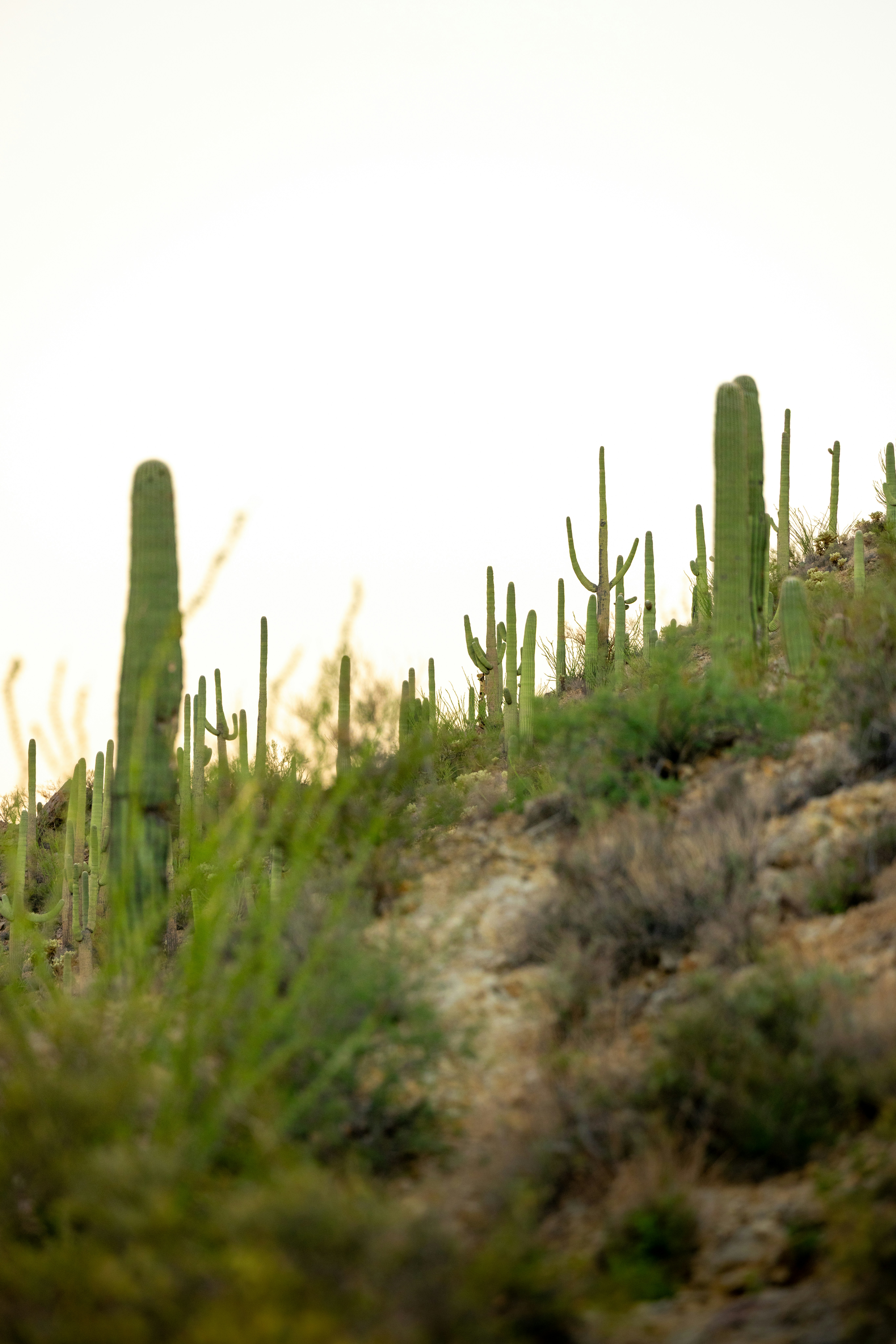 Photo by casunshine0508