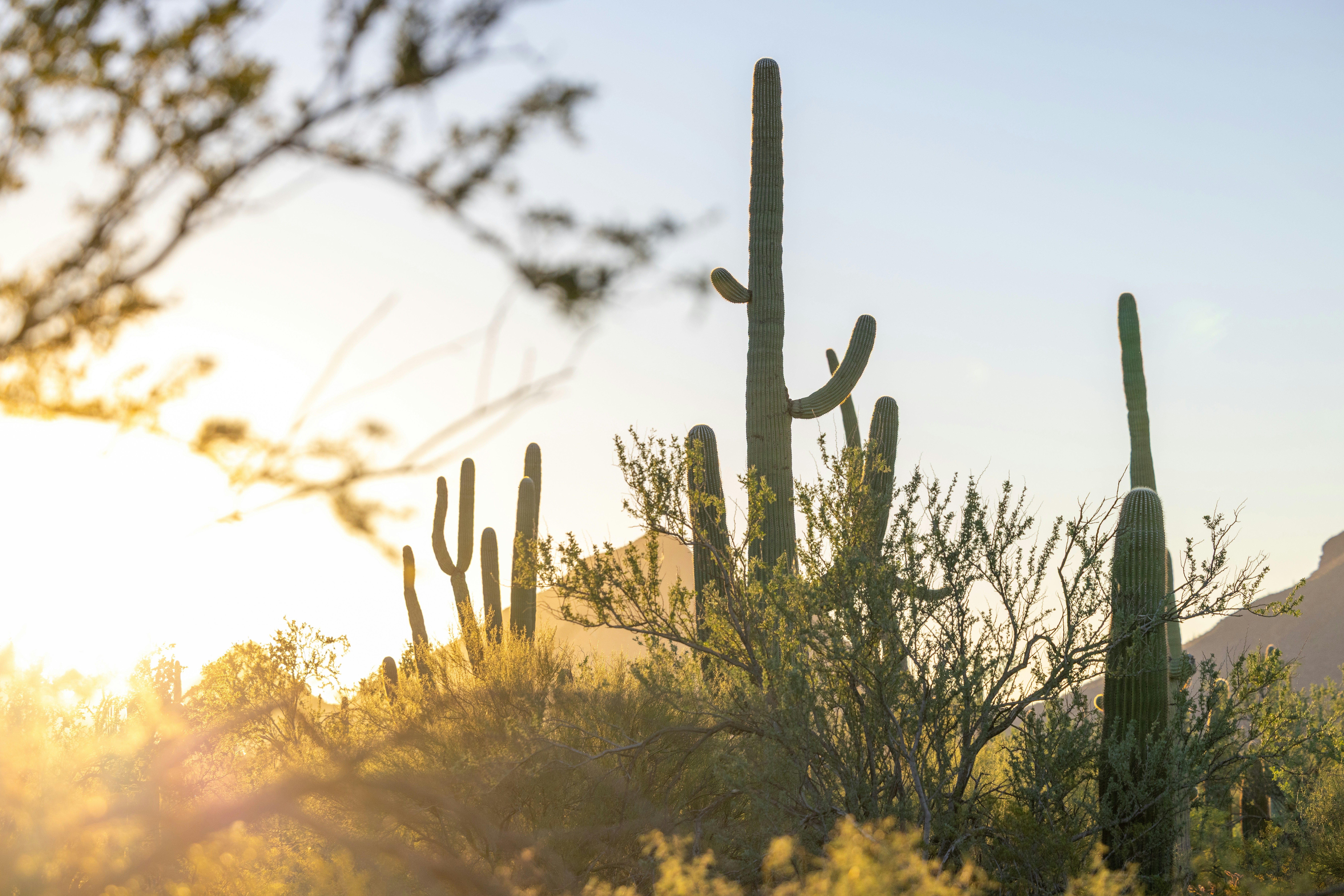 Photo by casunshine0508