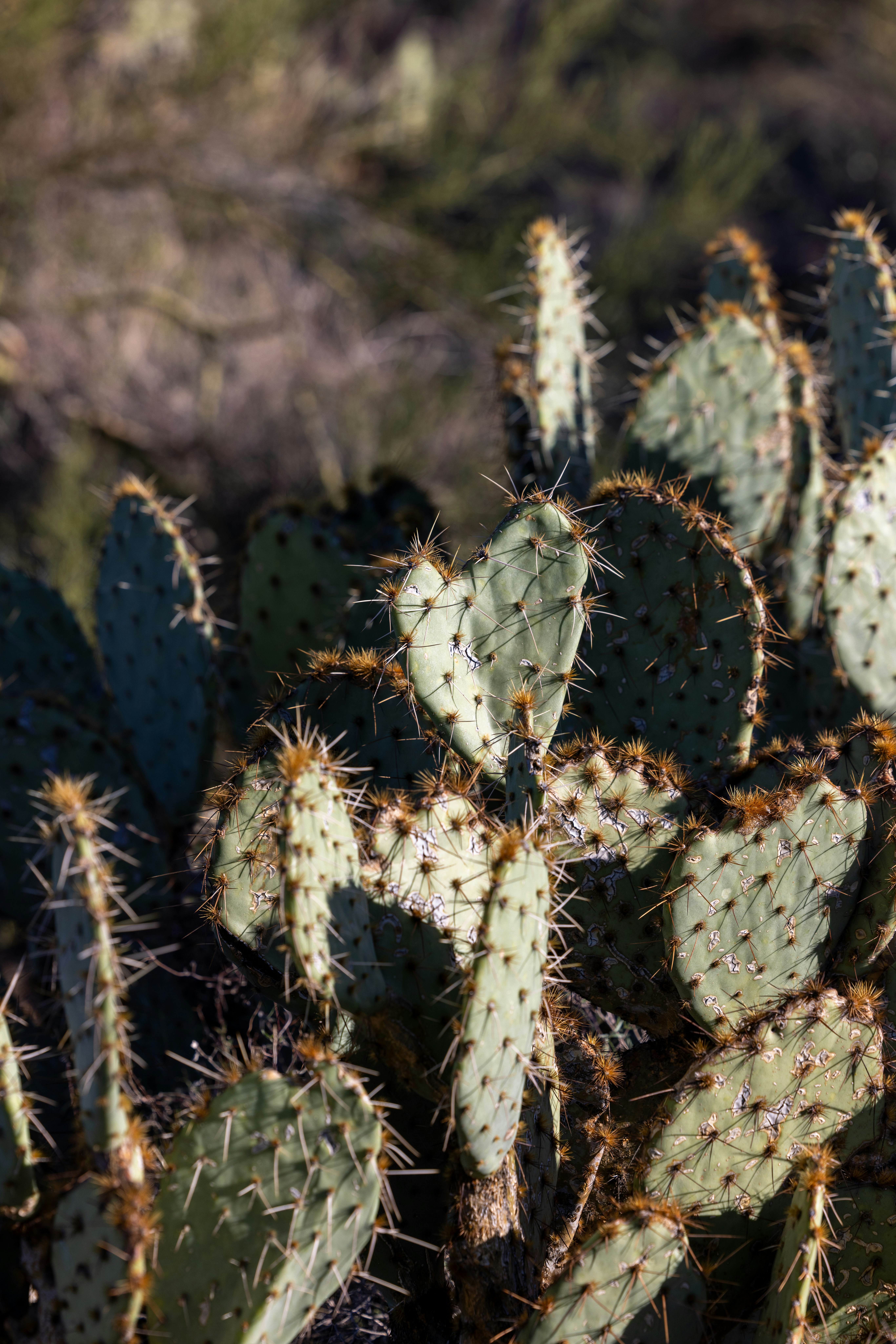 Photo by casunshine0508