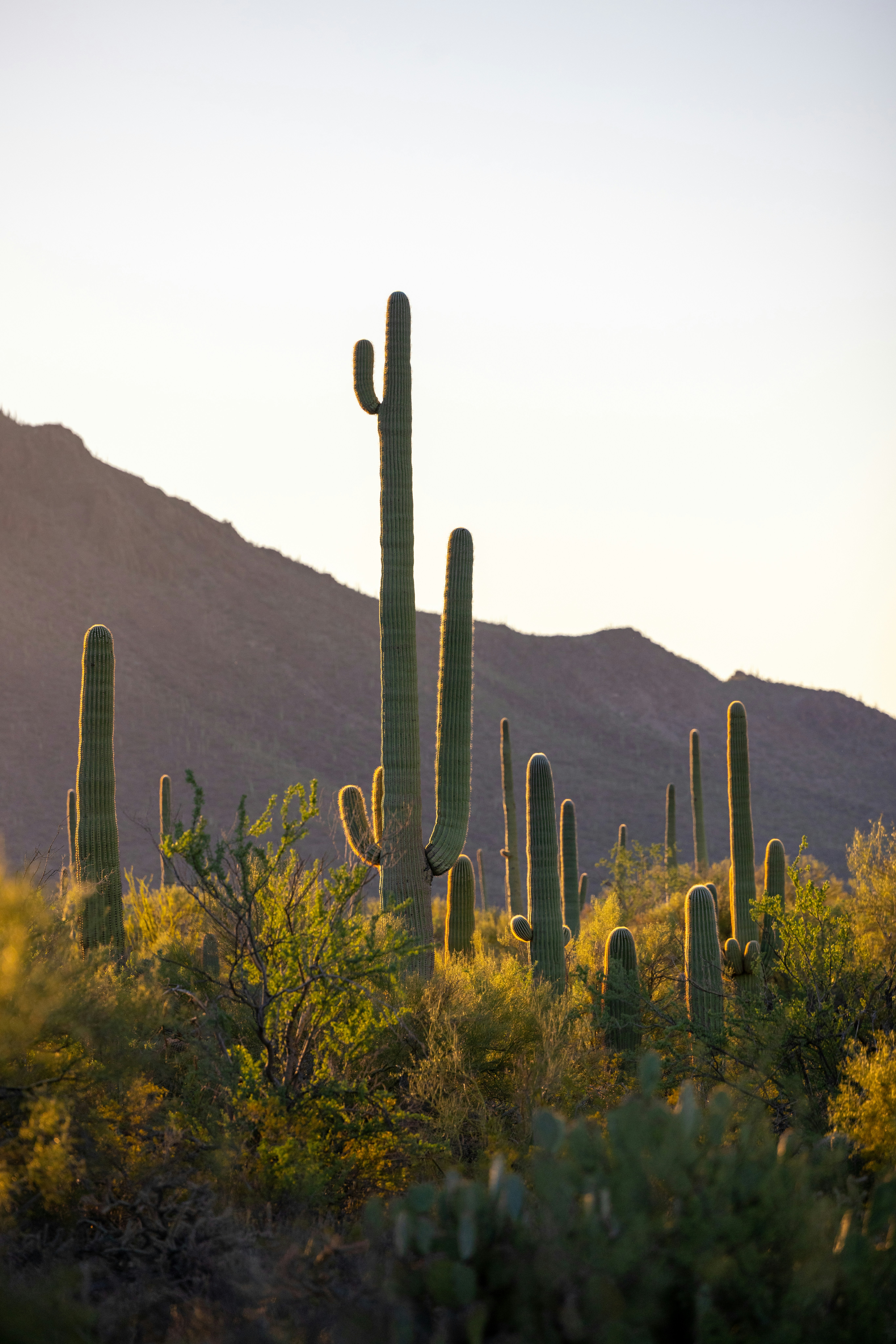 Photo by casunshine0508