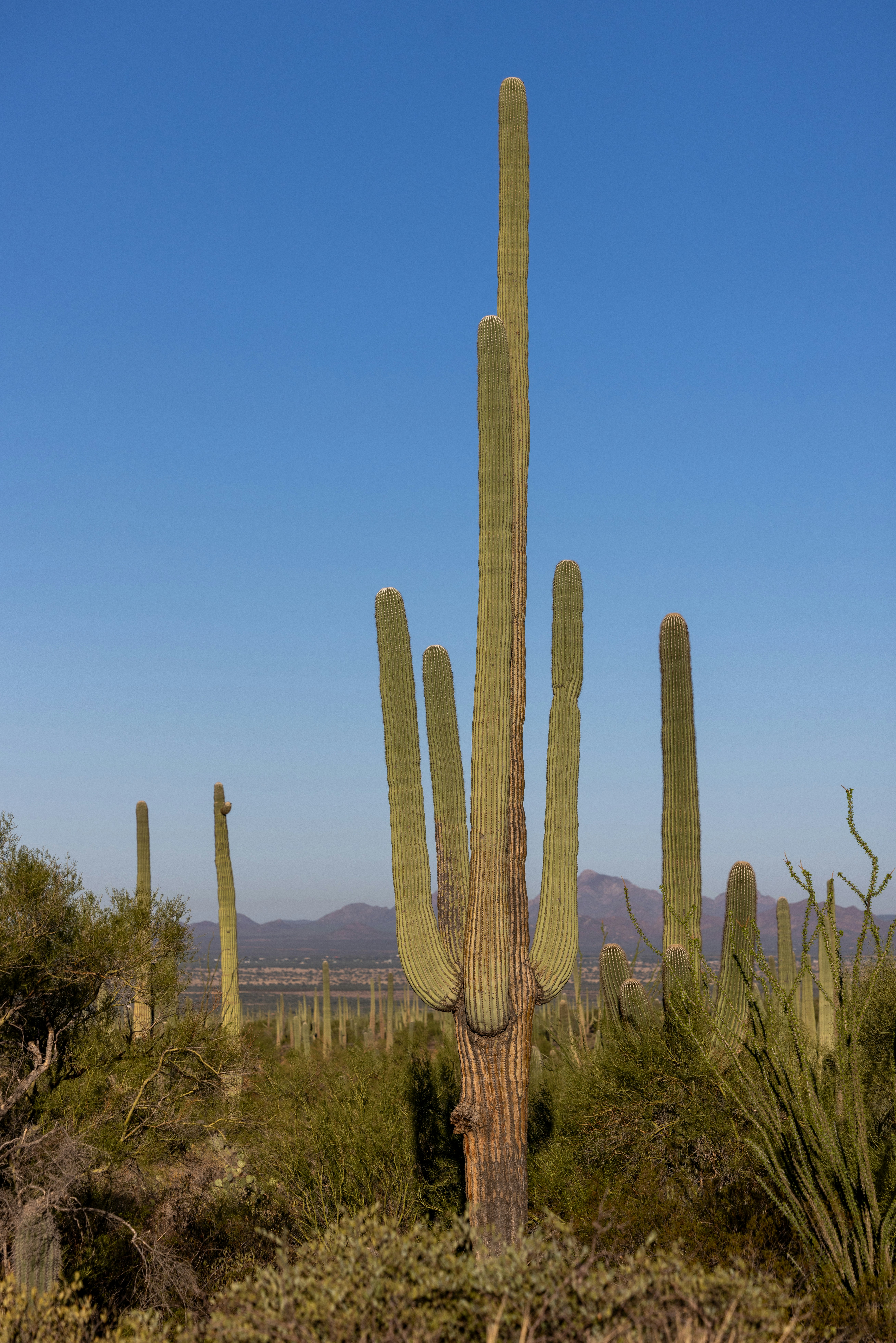 Photo by casunshine0508