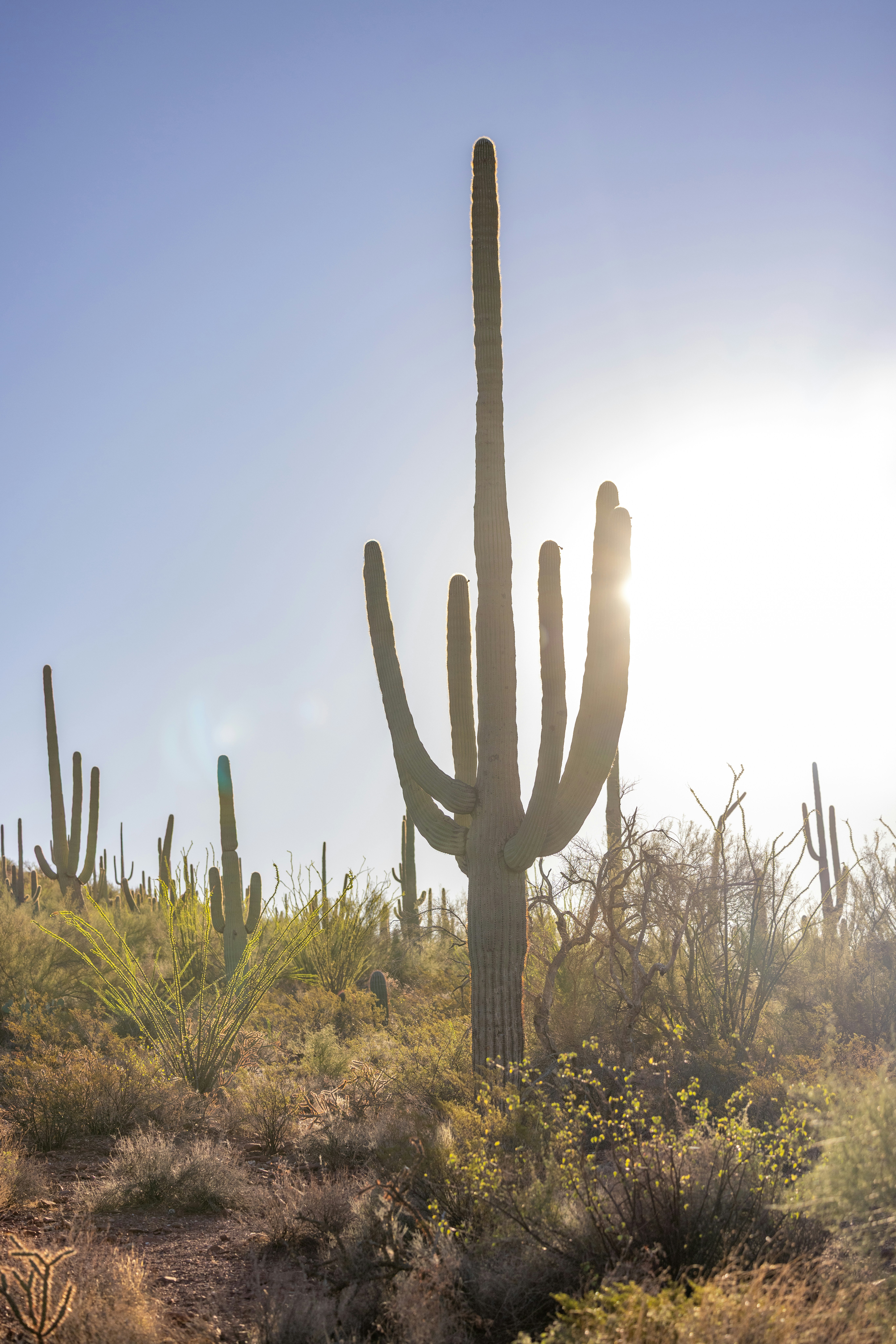 Photo by casunshine0508