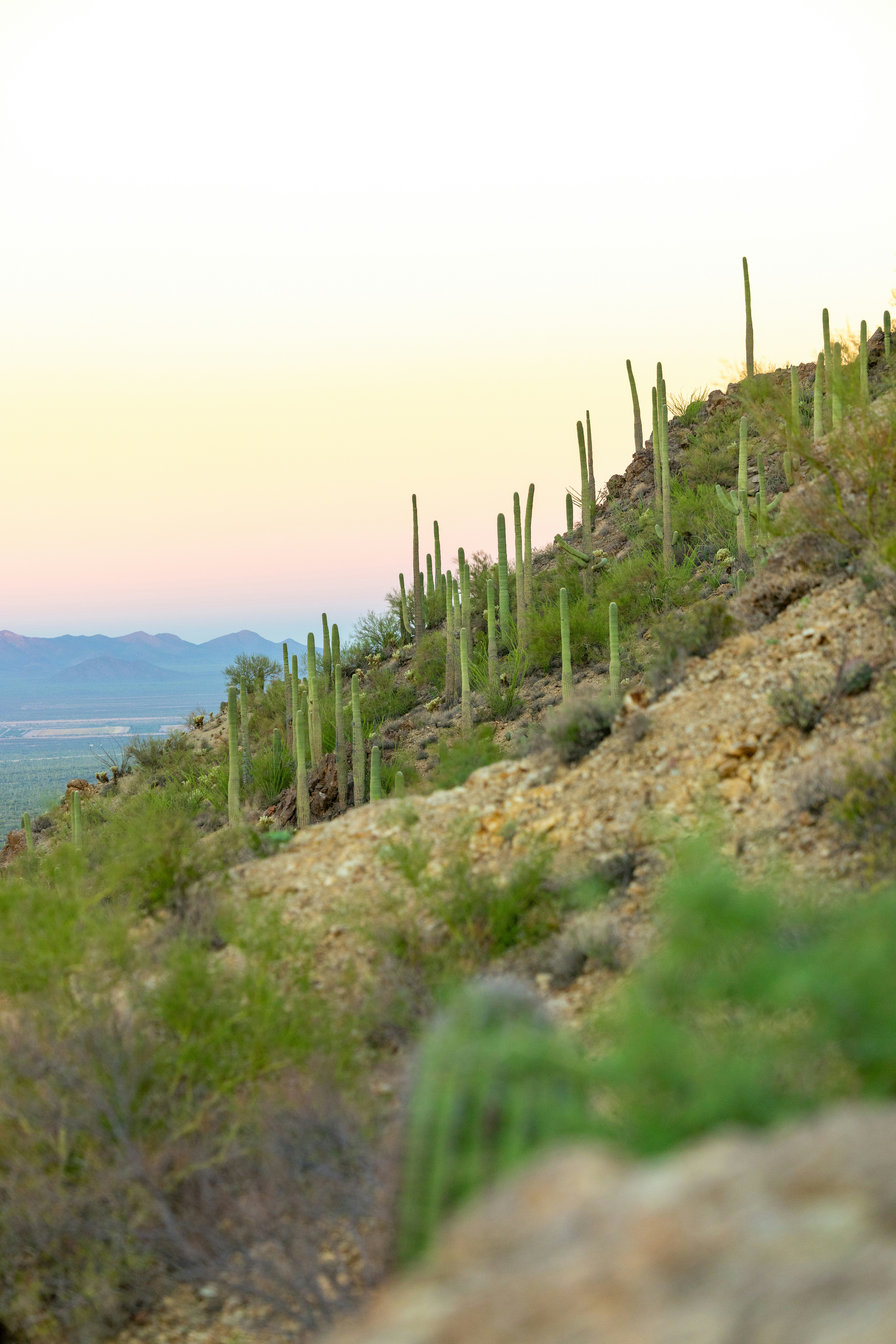 Photo by casunshine0508