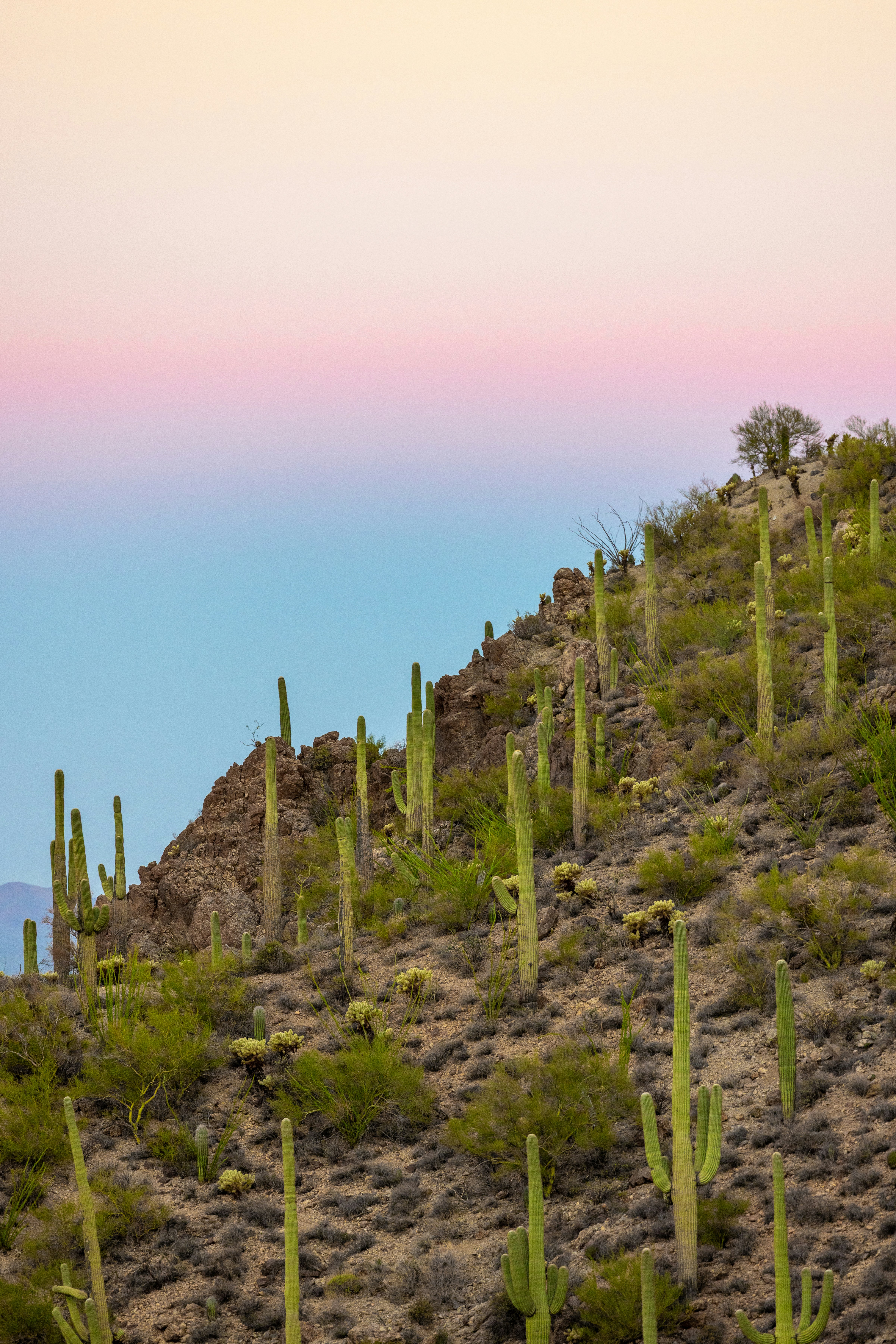 Photo by casunshine0508