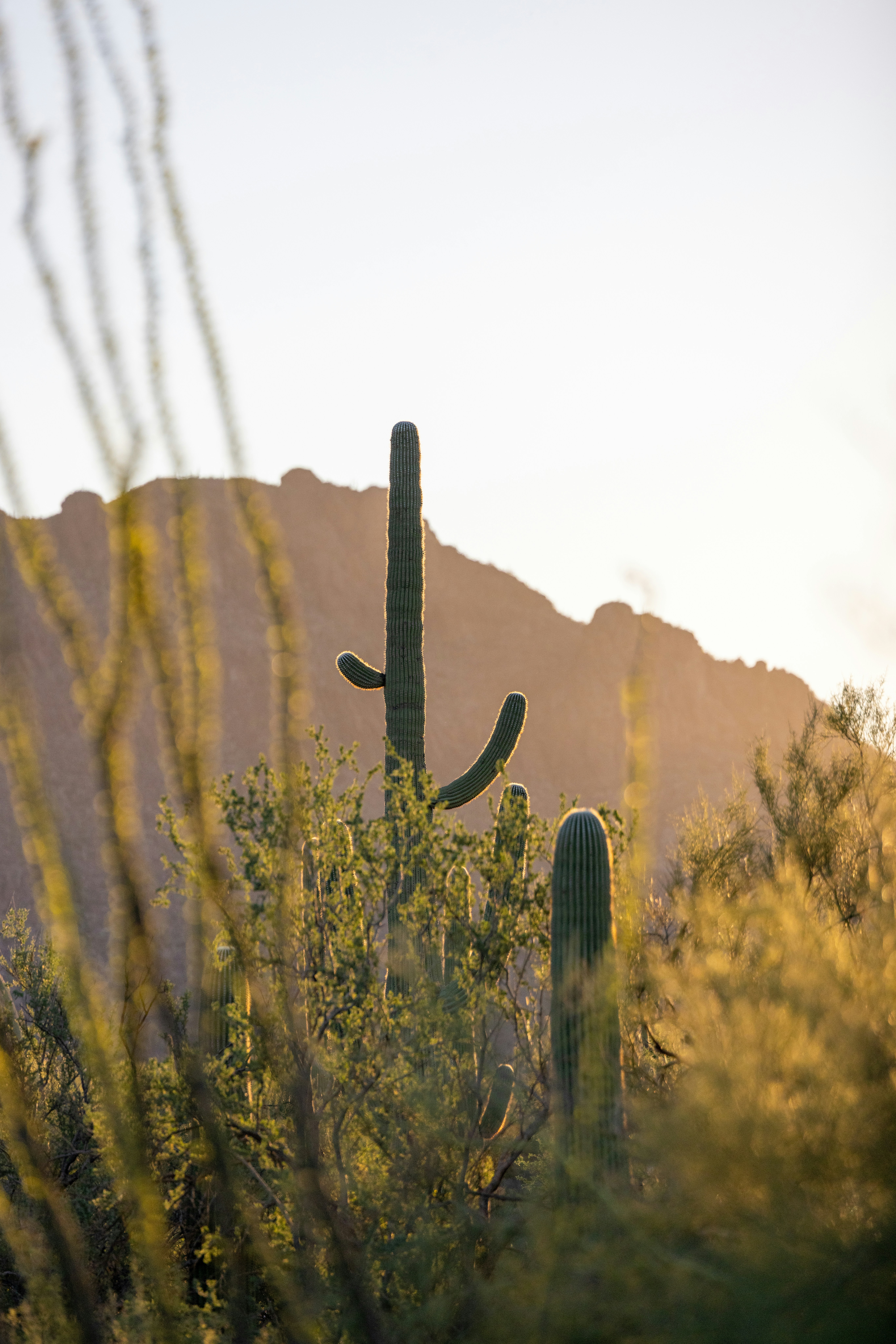 Photo by casunshine0508