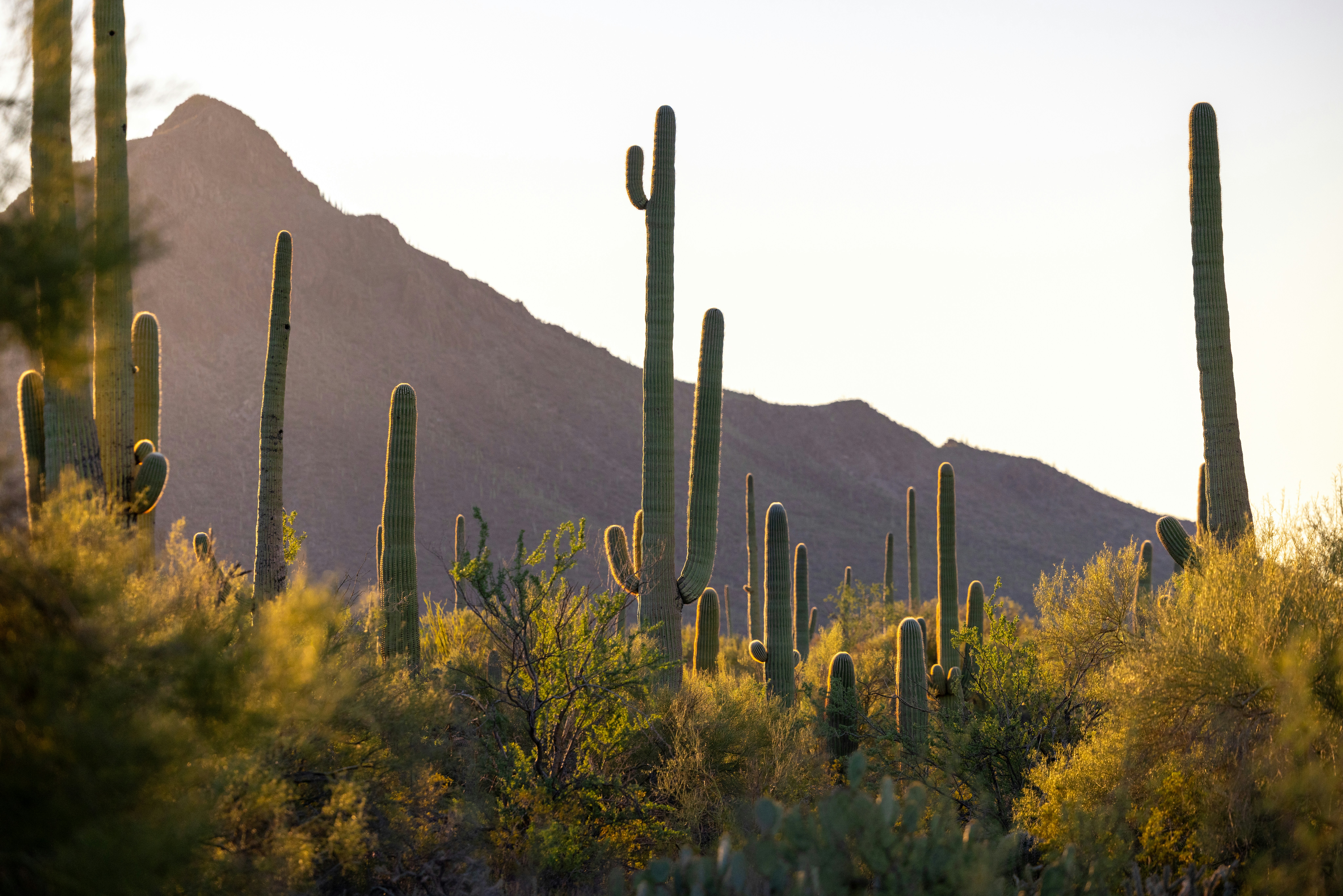 Photo by casunshine0508