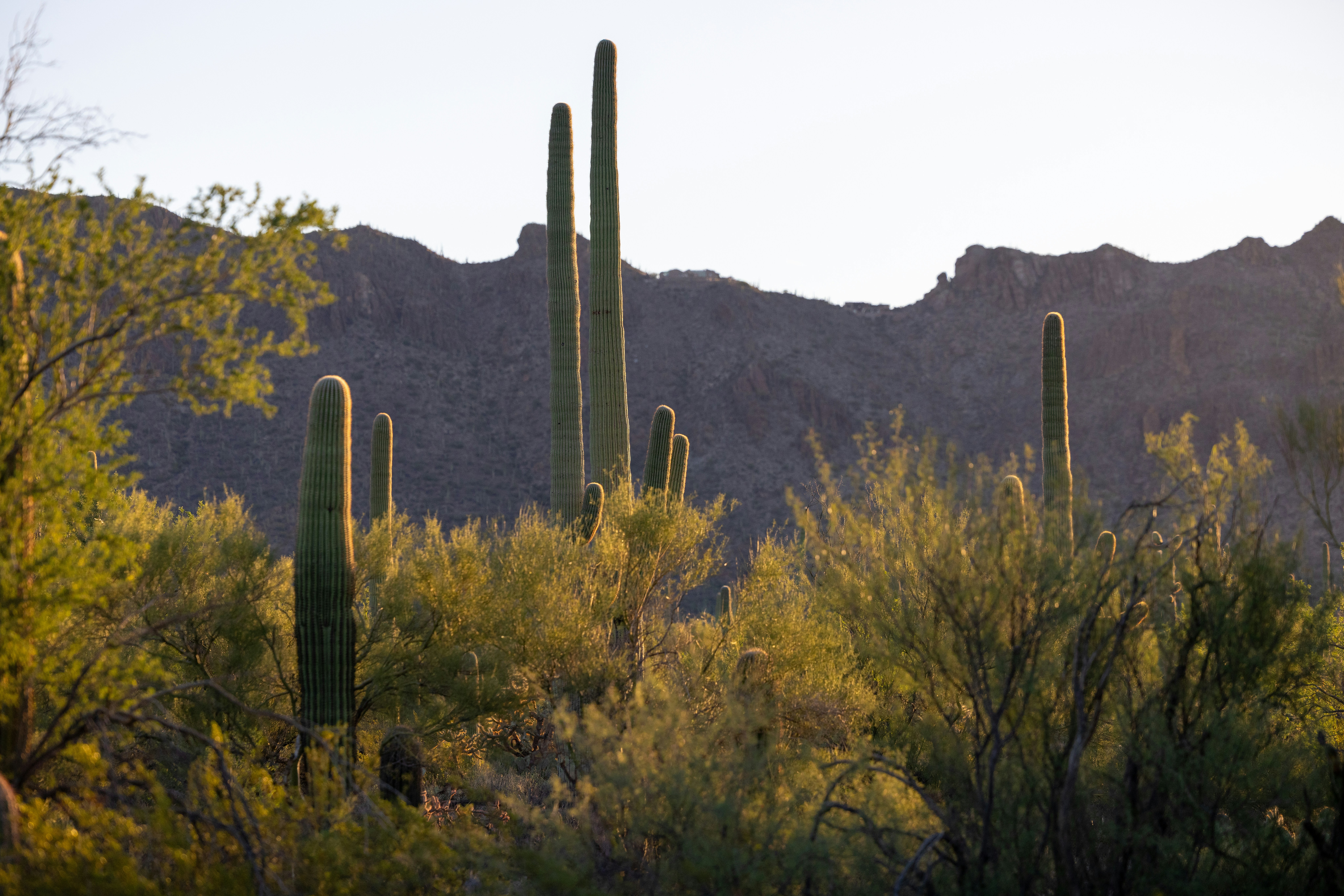 Photo by casunshine0508