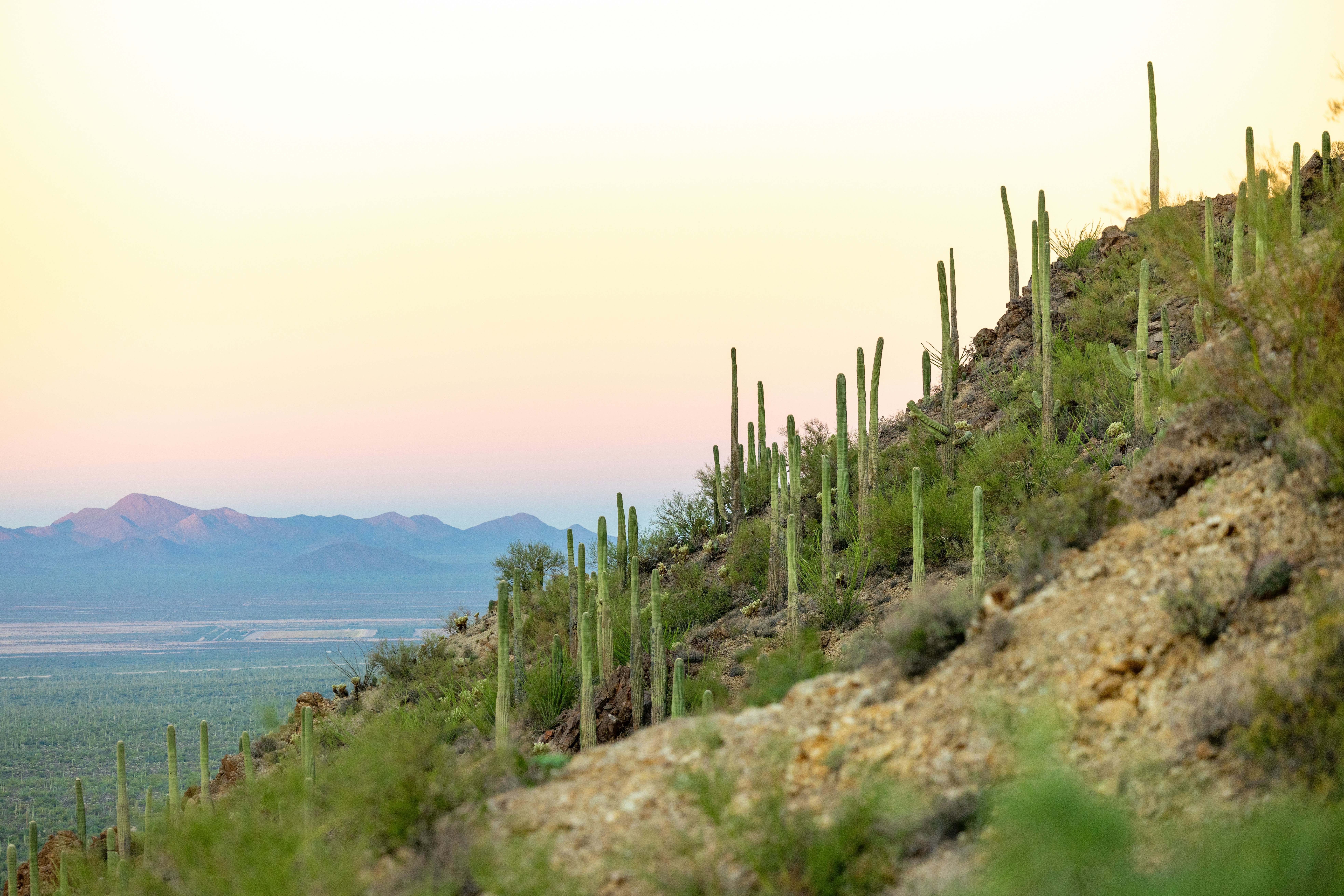 Photo by casunshine0508