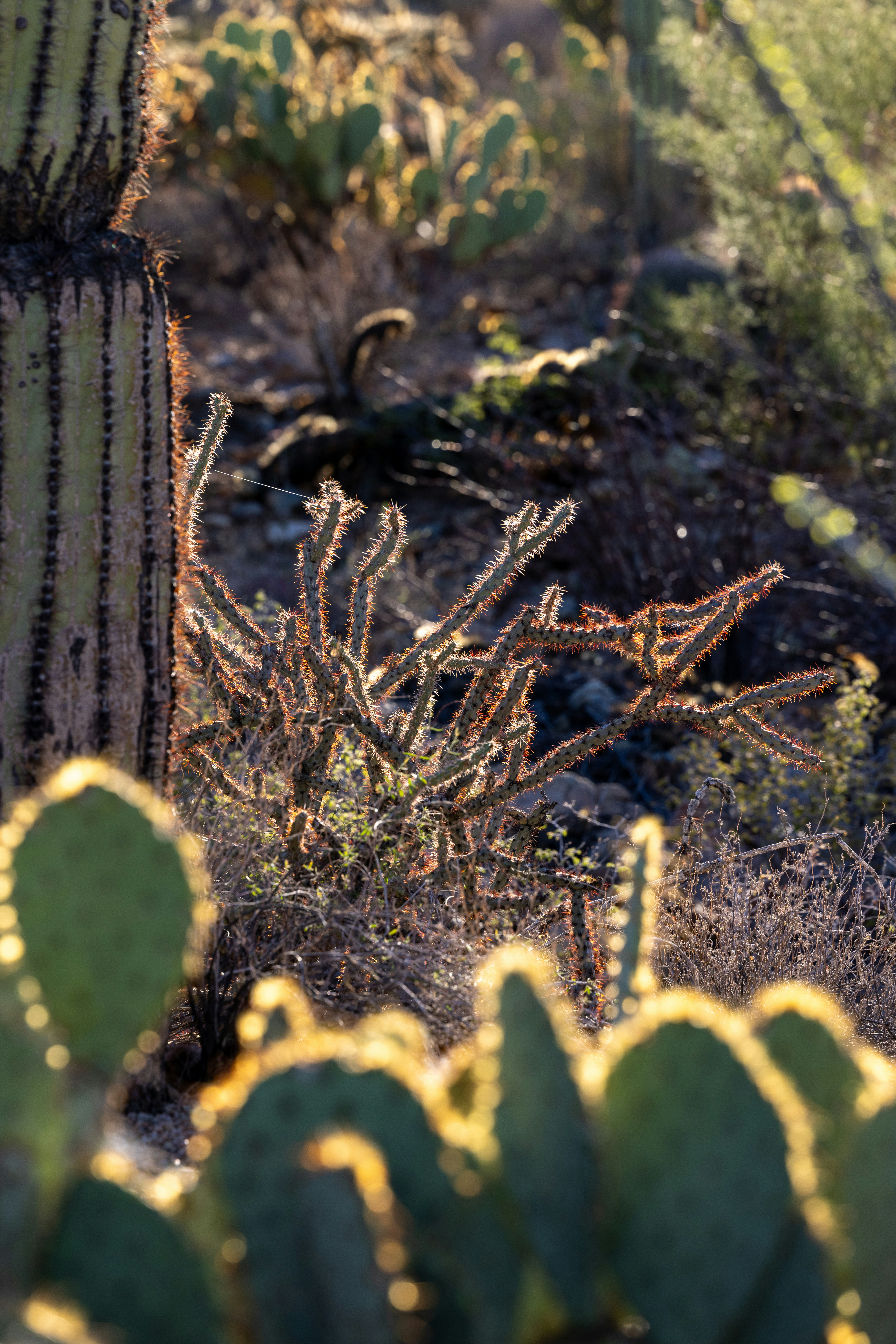 Photo by casunshine0508