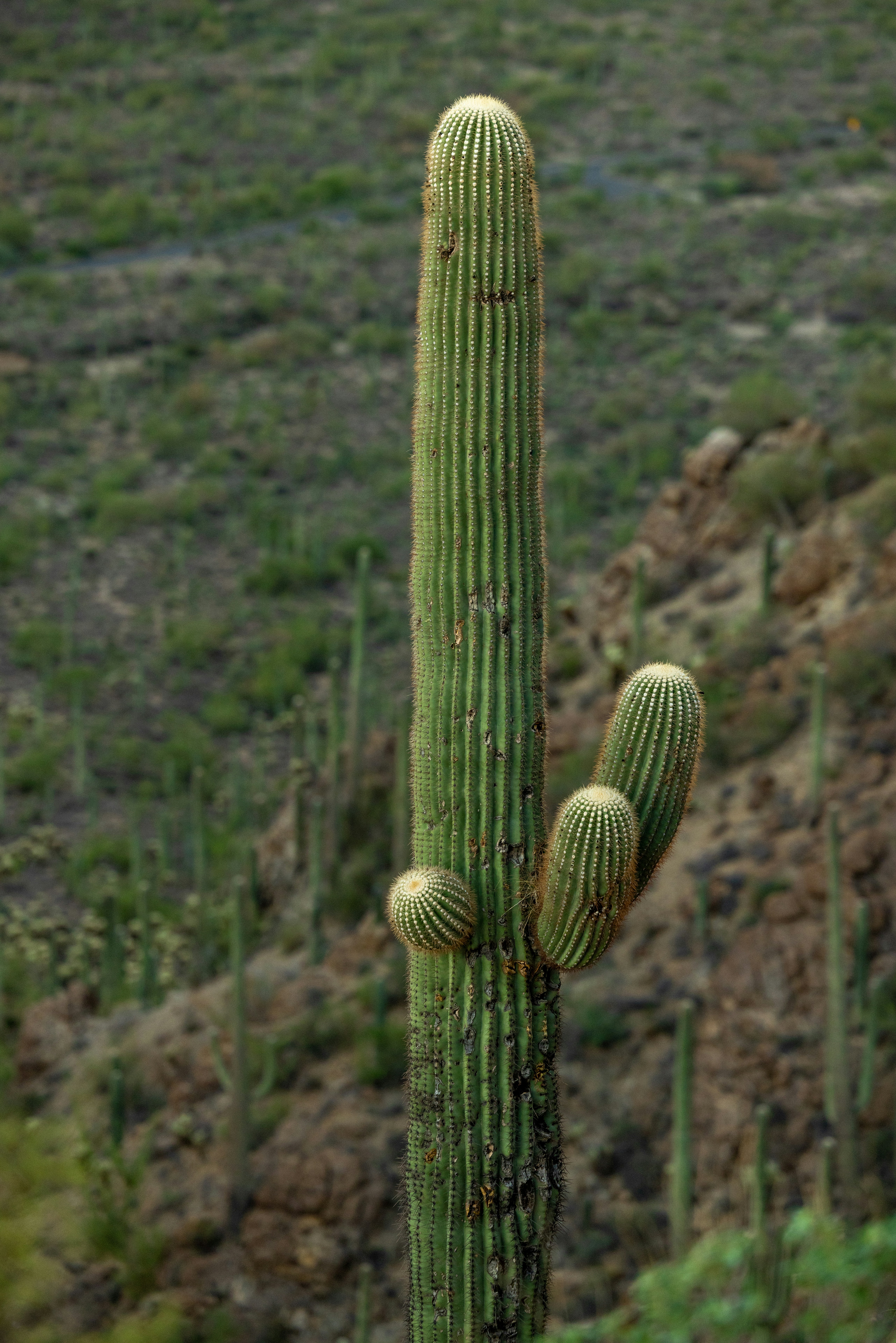 Photo by casunshine0508