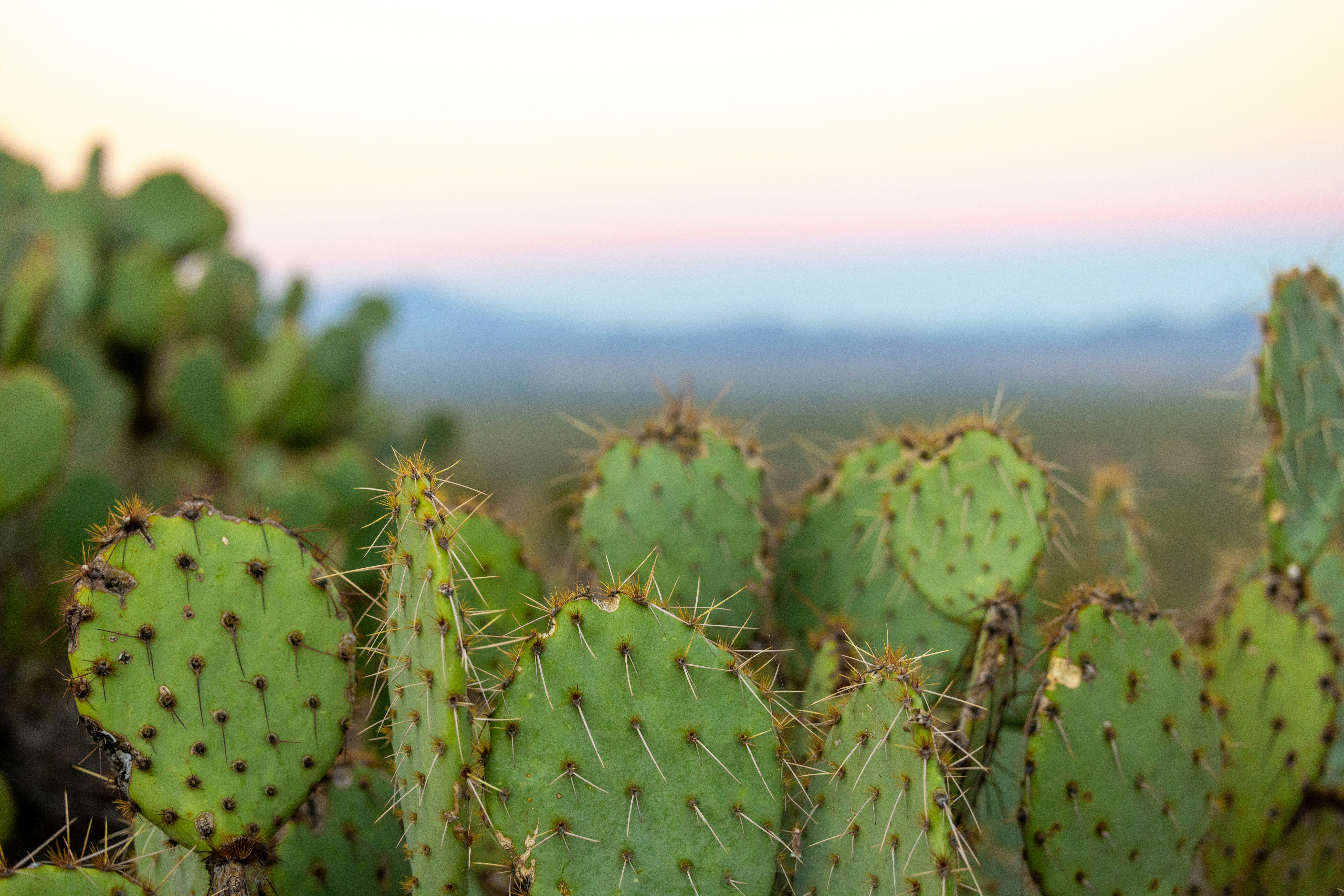 Photo by casunshine0508