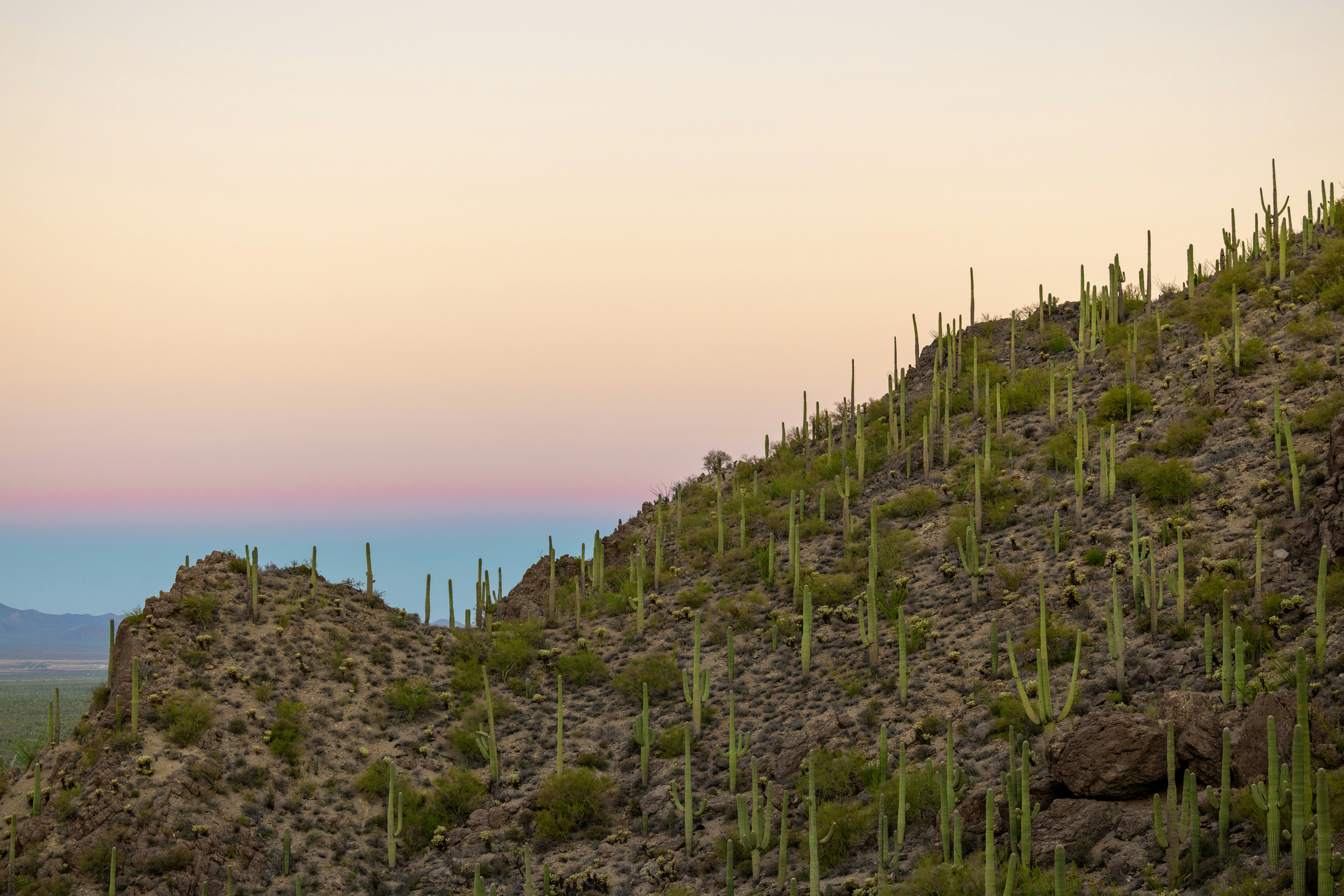 Photo by casunshine0508