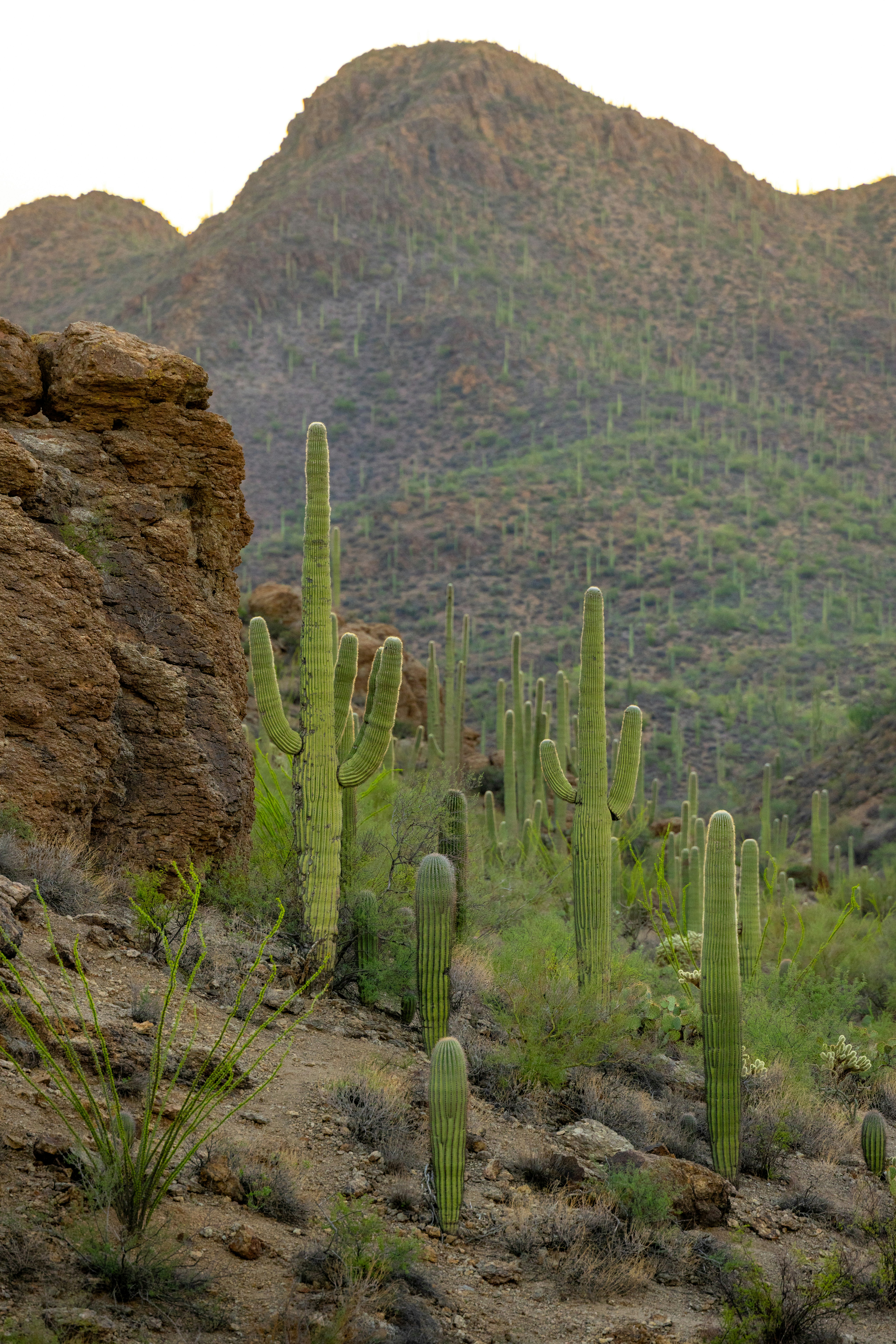 Photo by casunshine0508