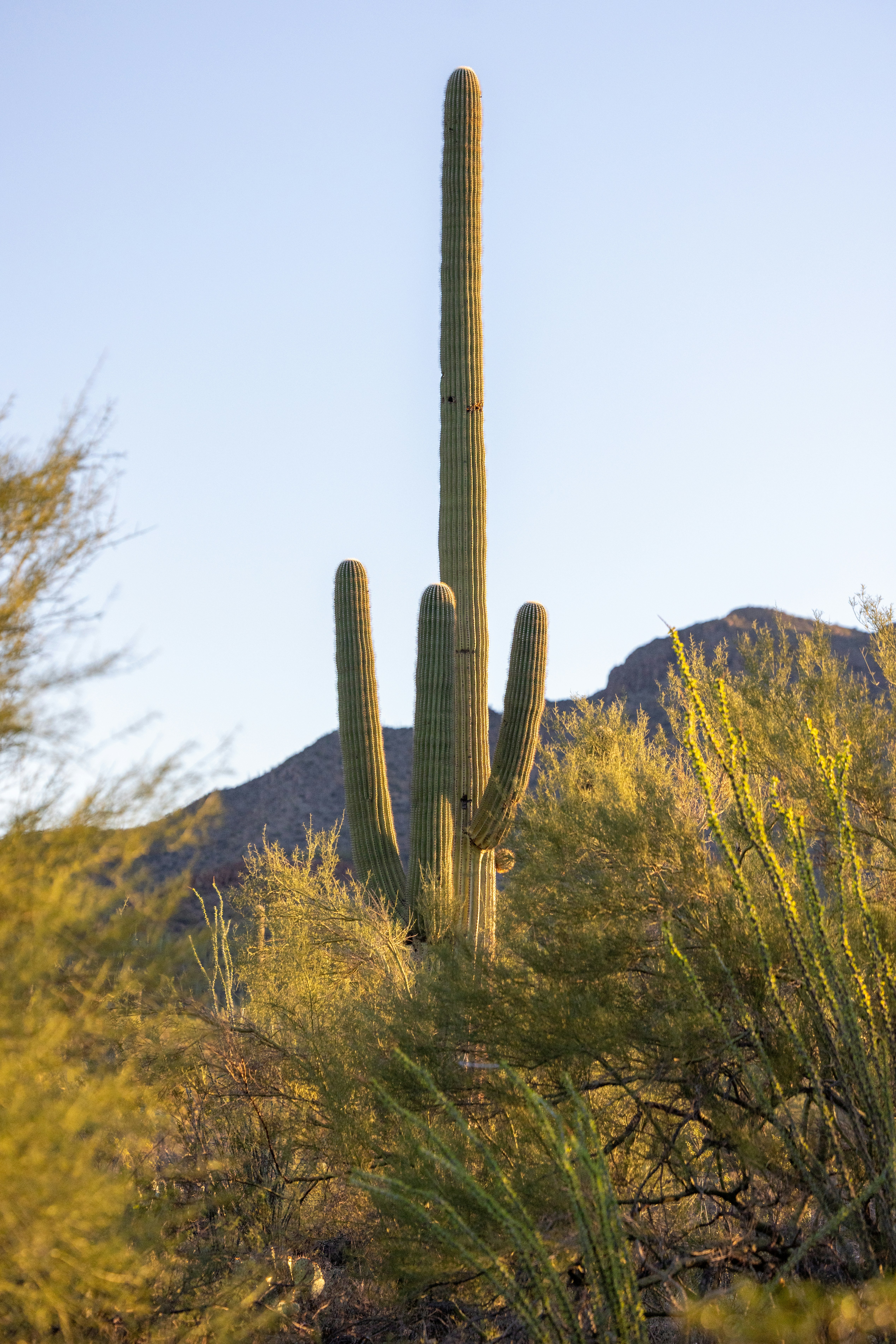 Photo by casunshine0508