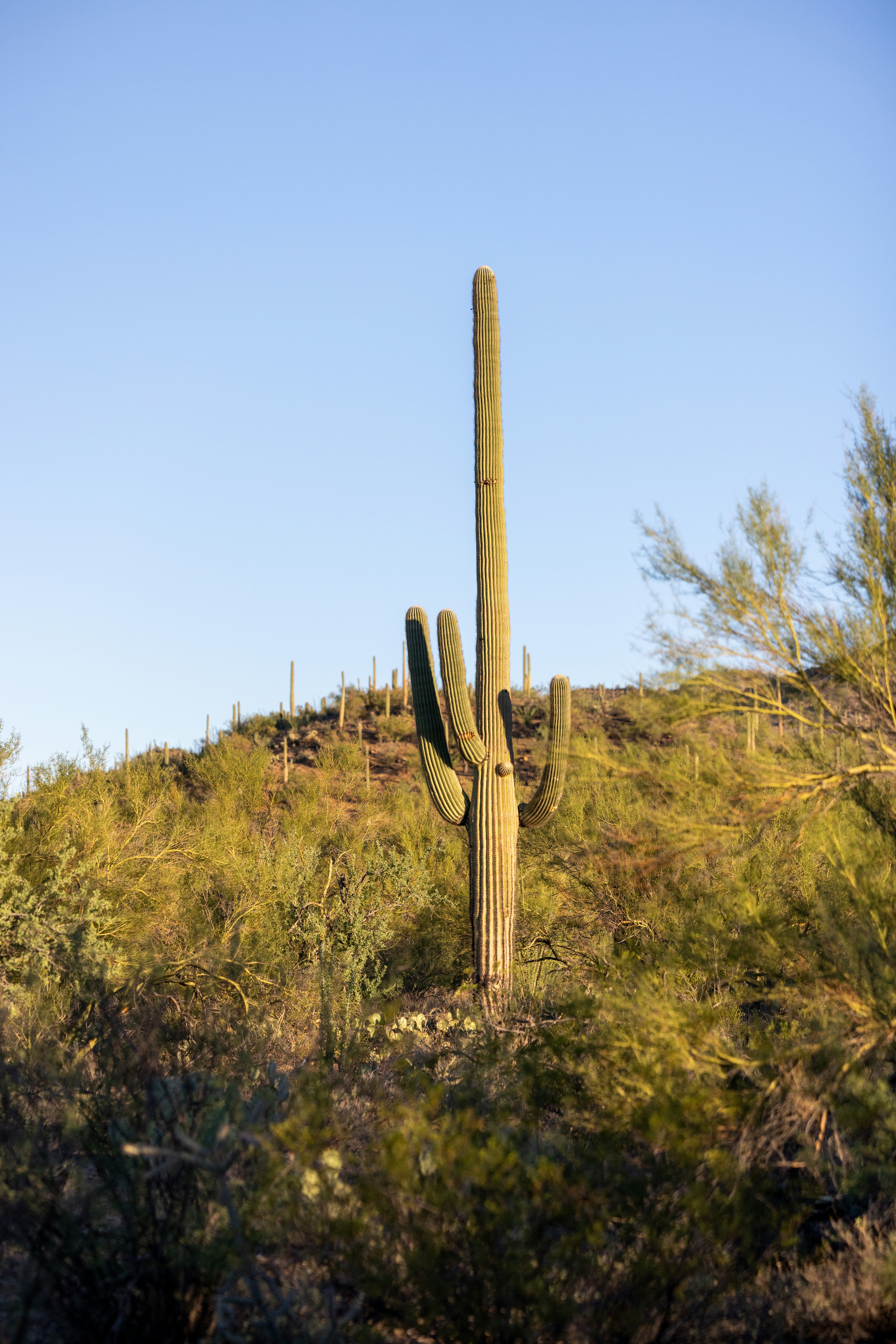 Photo by casunshine0508