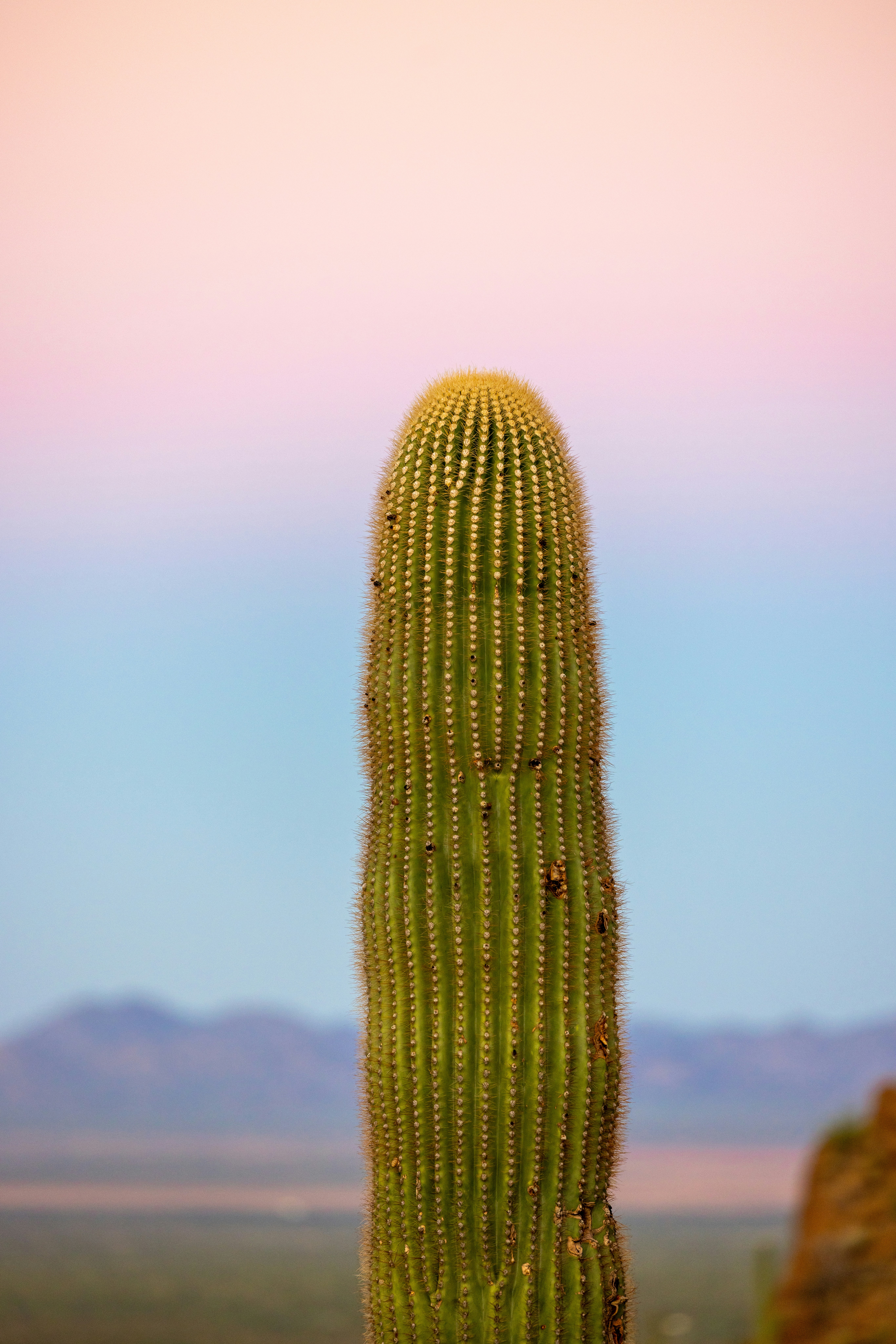 Photo by casunshine0508